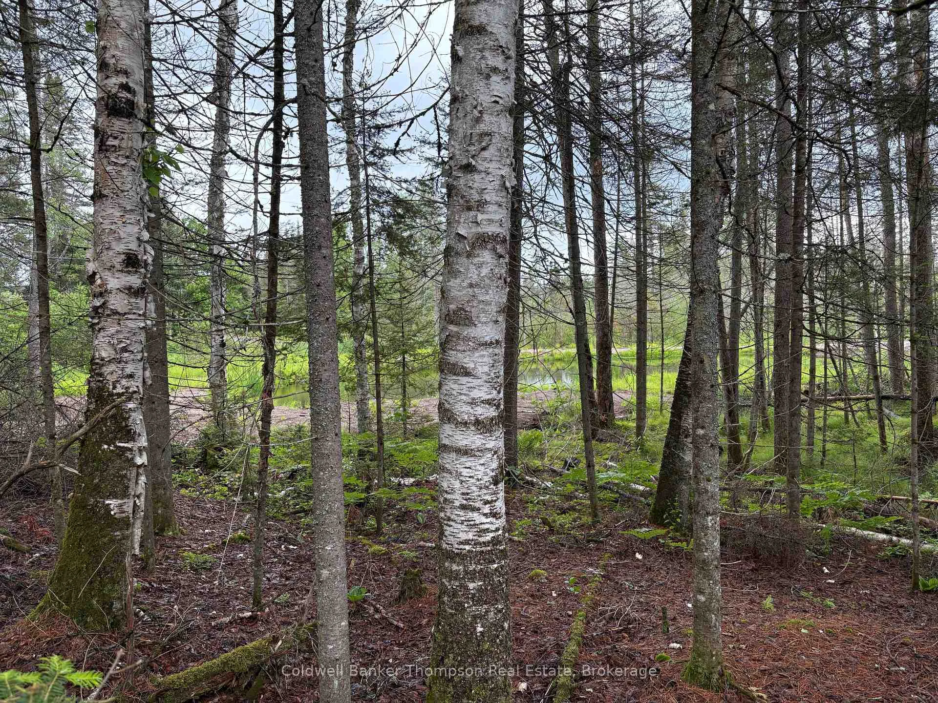 Photo 8 of 812 Sand Hill Road, Joly — HOMEH