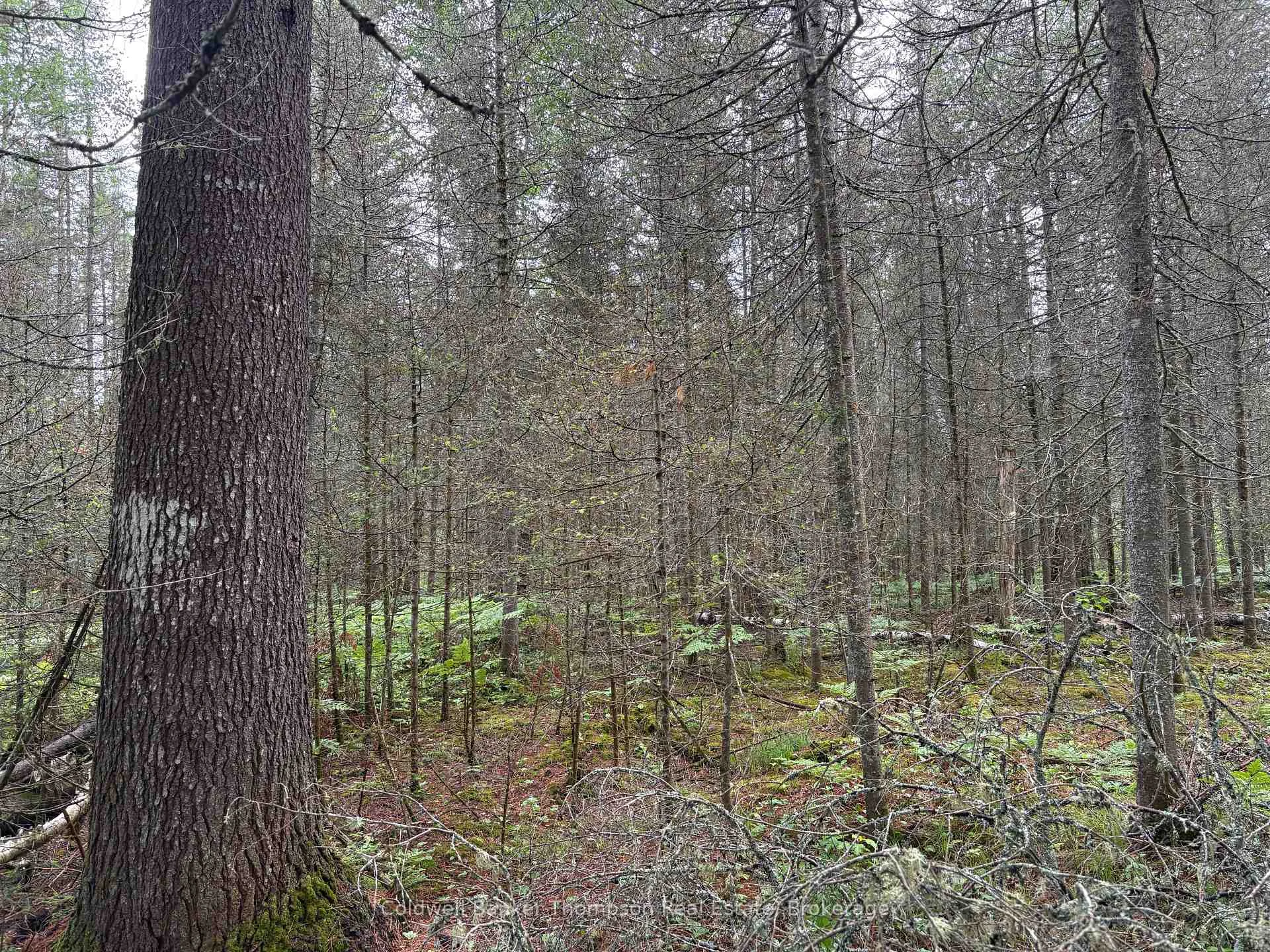 Photo 9 of 812 Sand Hill Road, Joly — HOMEH