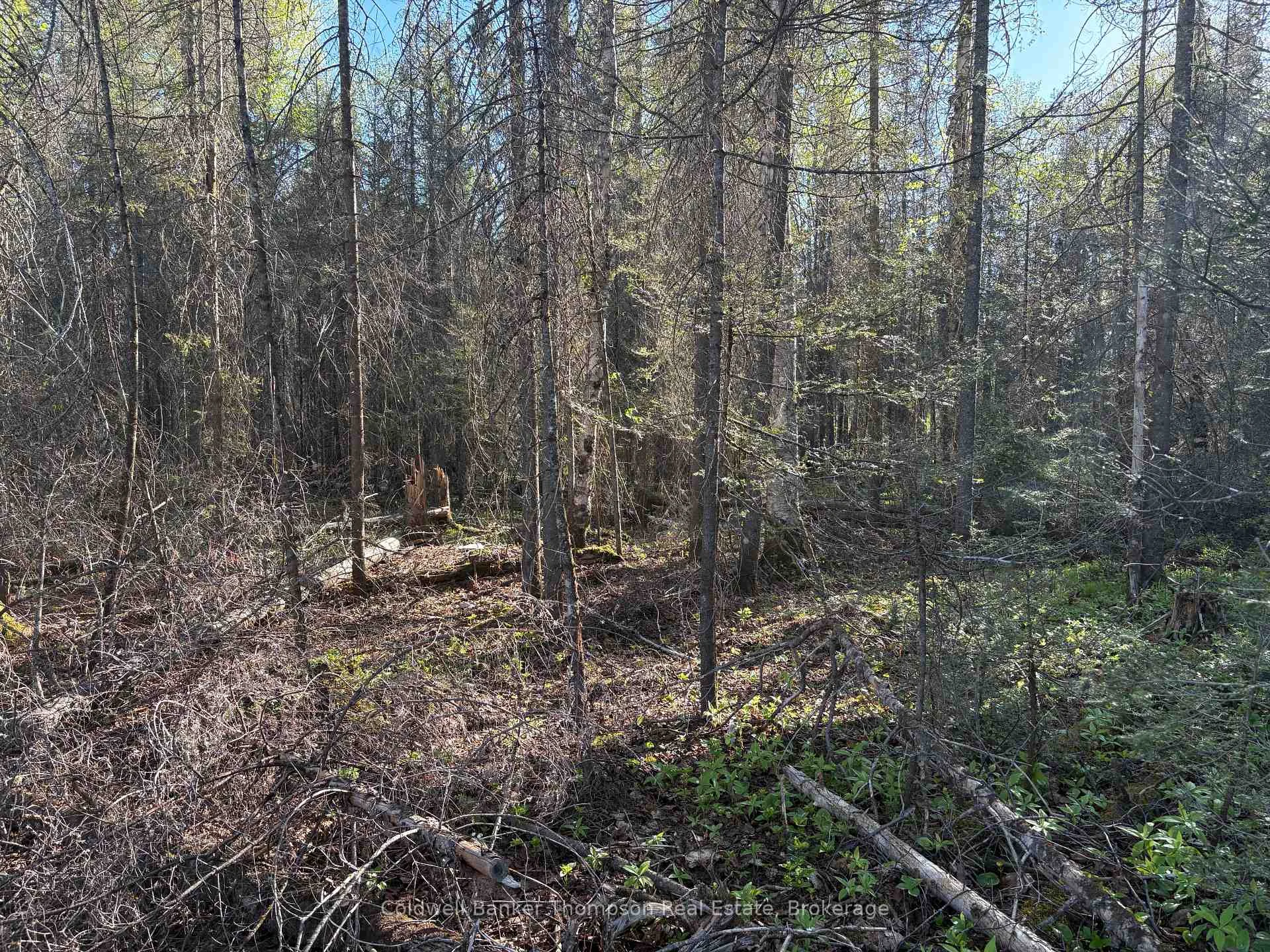 Photo 12 of 812 Sand Hill Road, Joly — HOMEH