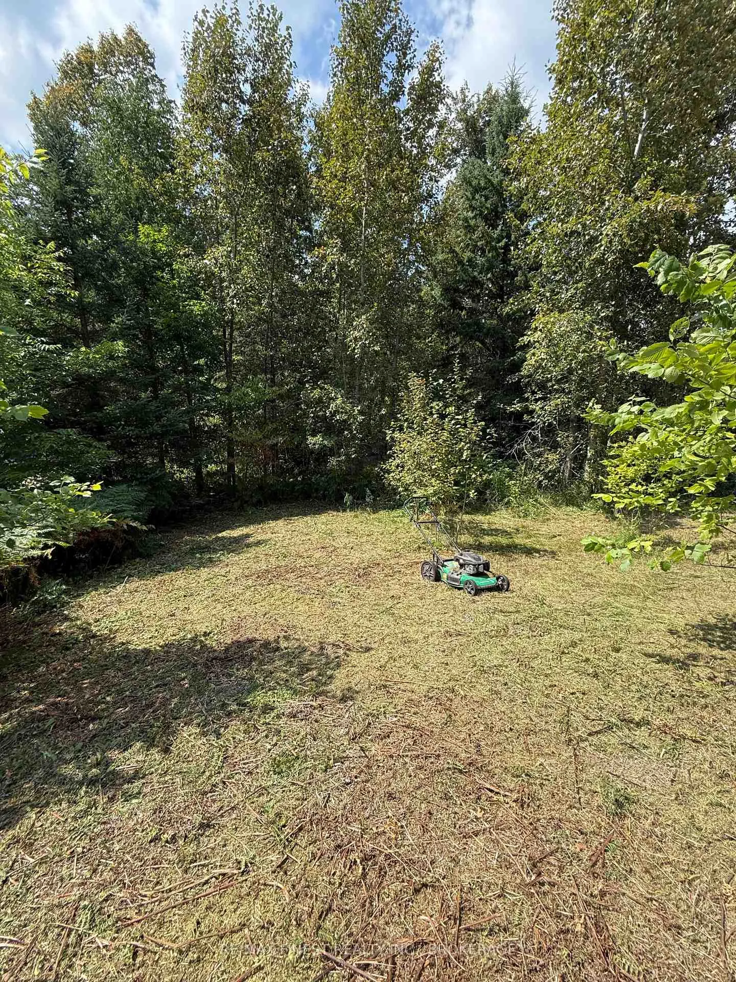 Photo of 21508 Highway 41