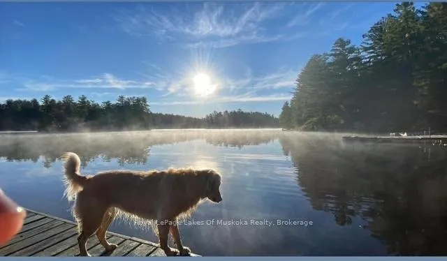 Photo 27 of 1029 Sprunt Lane, Gravenhurst, Muskoka (S) — HOMEH