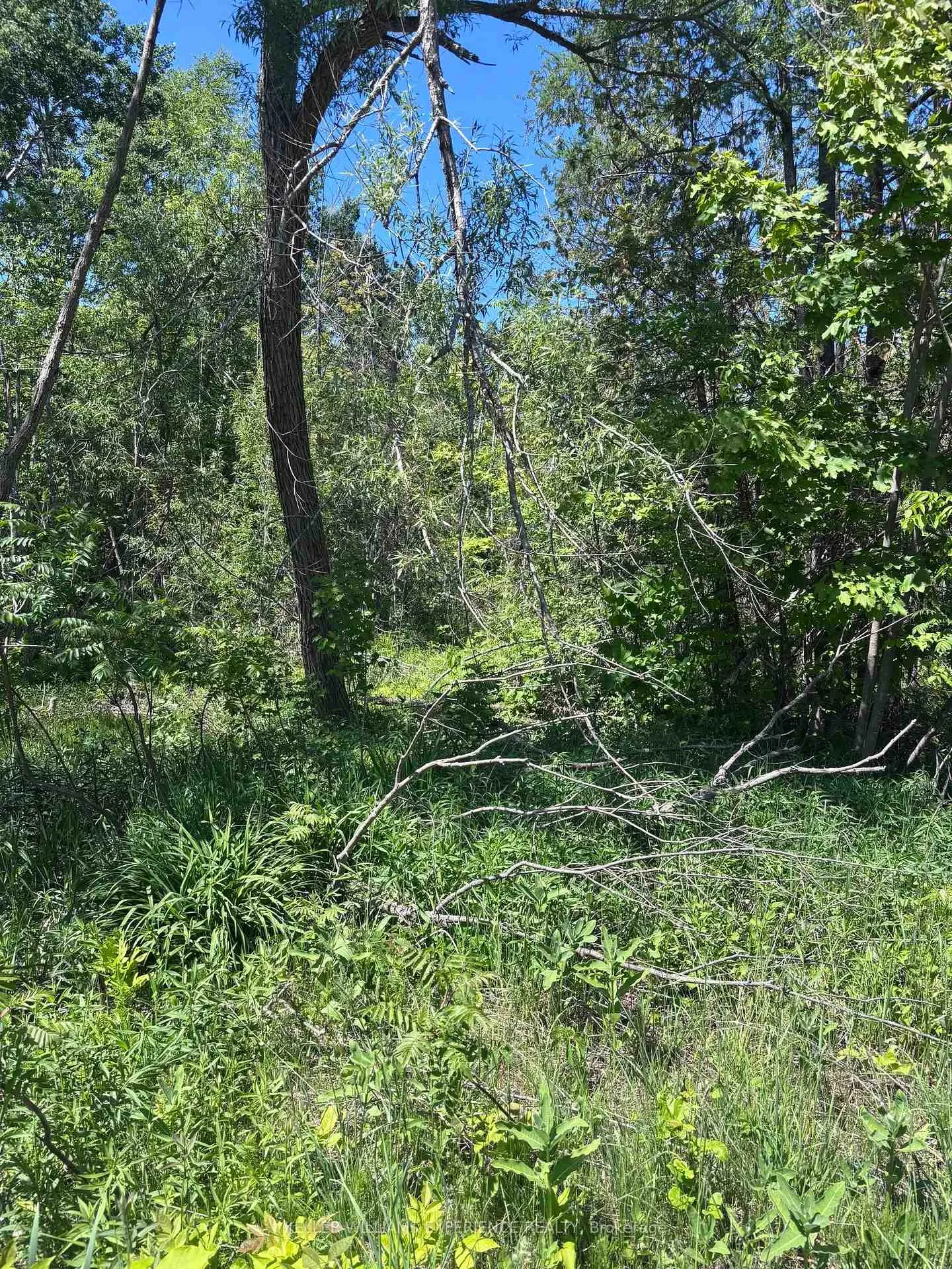 Photo 2 of 1382 Wilson Point Road, Orillia — HOMEH
