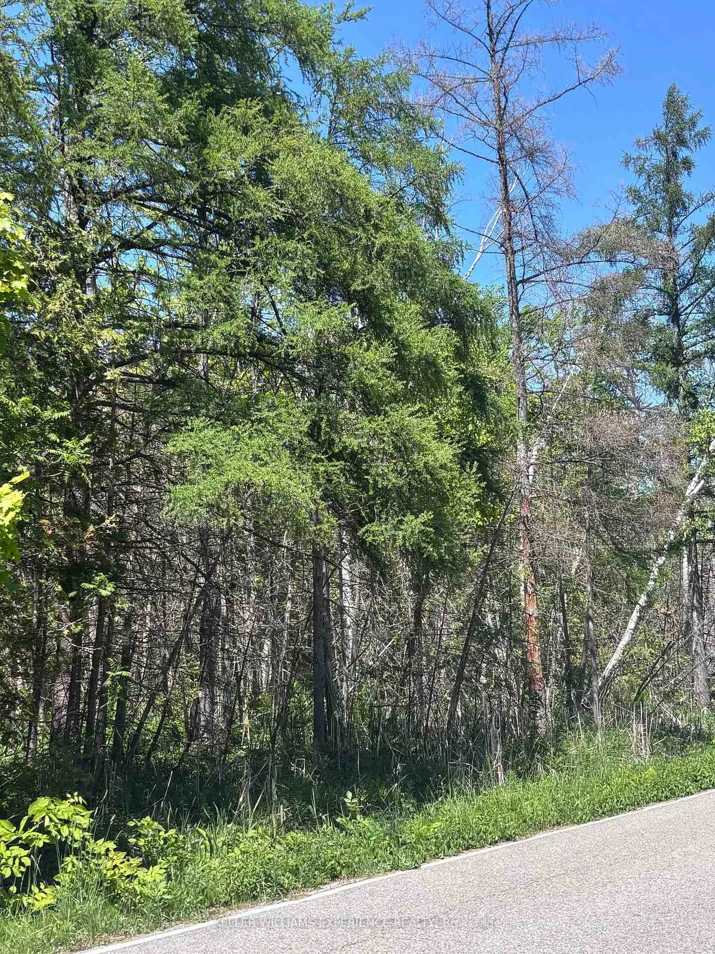 Photo 3 of 1382 Wilson Point Road, Orillia — HOMEH