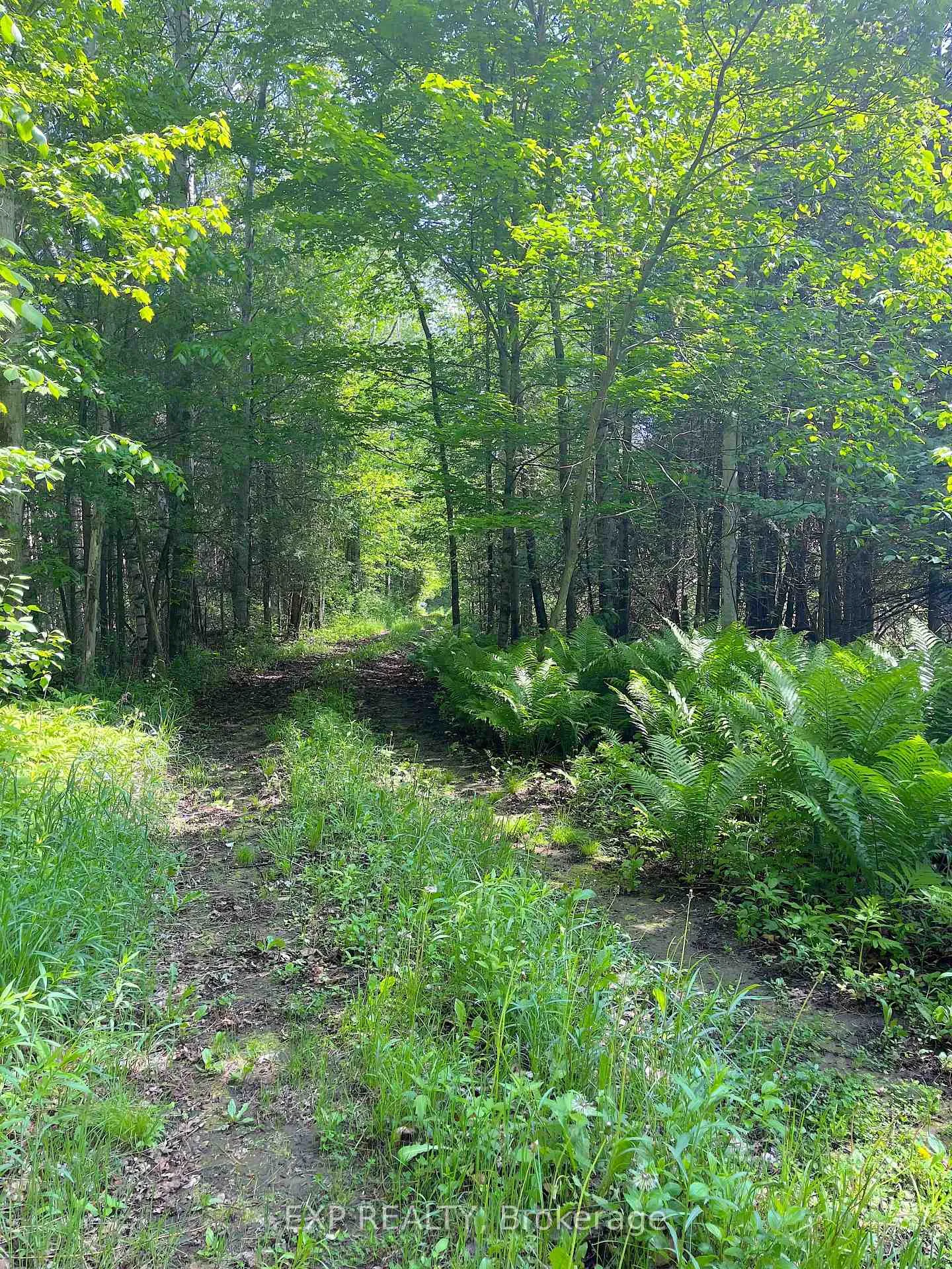 Photo of 00 Johnston Road