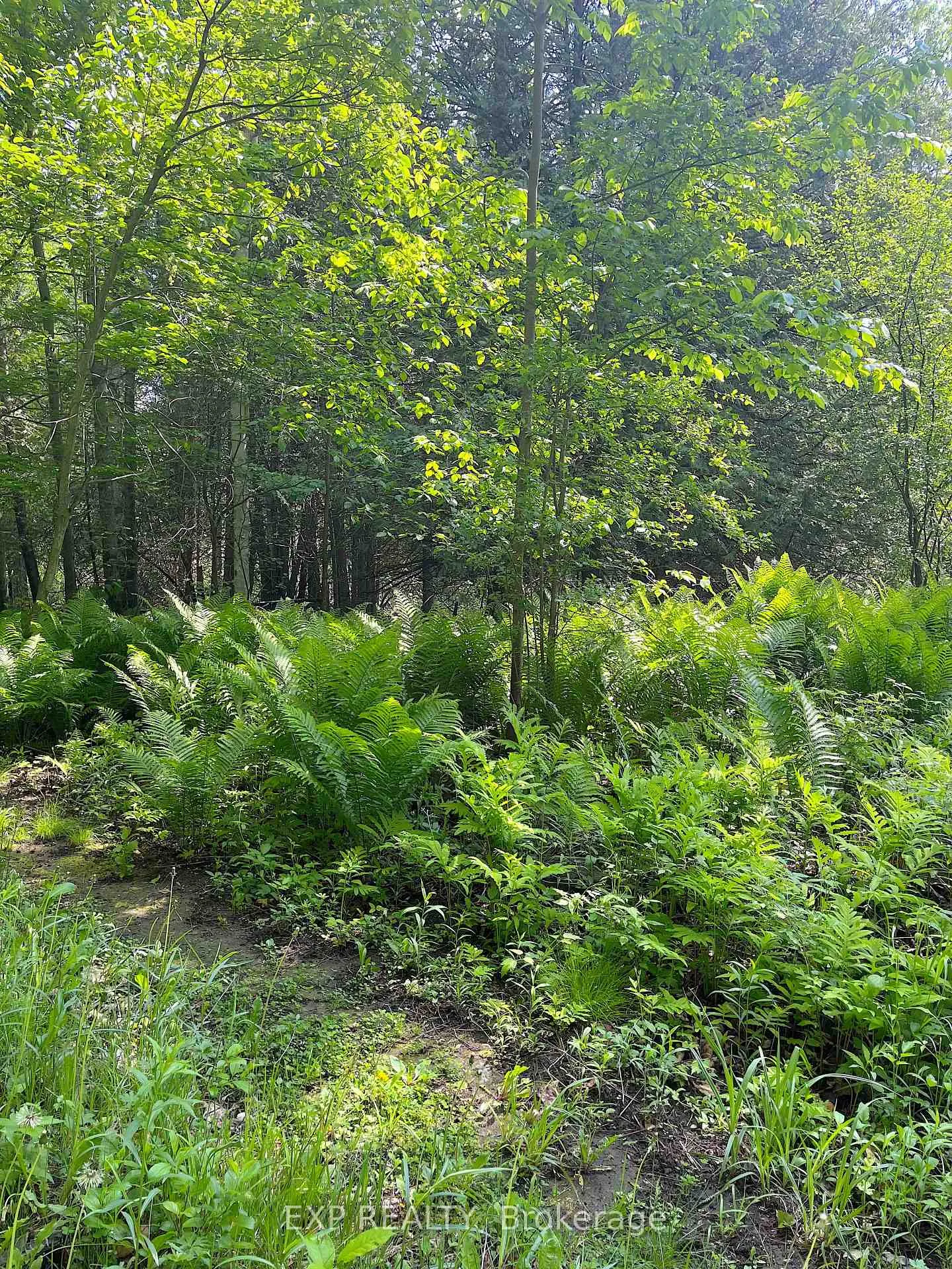 Photo 2 of 00 Johnston Road, Horton, Horton Twp — HOMEH
