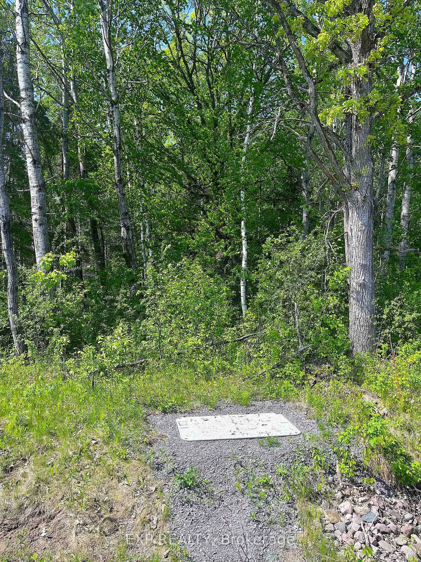 Photo 3 of 00 Johnston Road, Horton, Horton Twp — HOMEH
