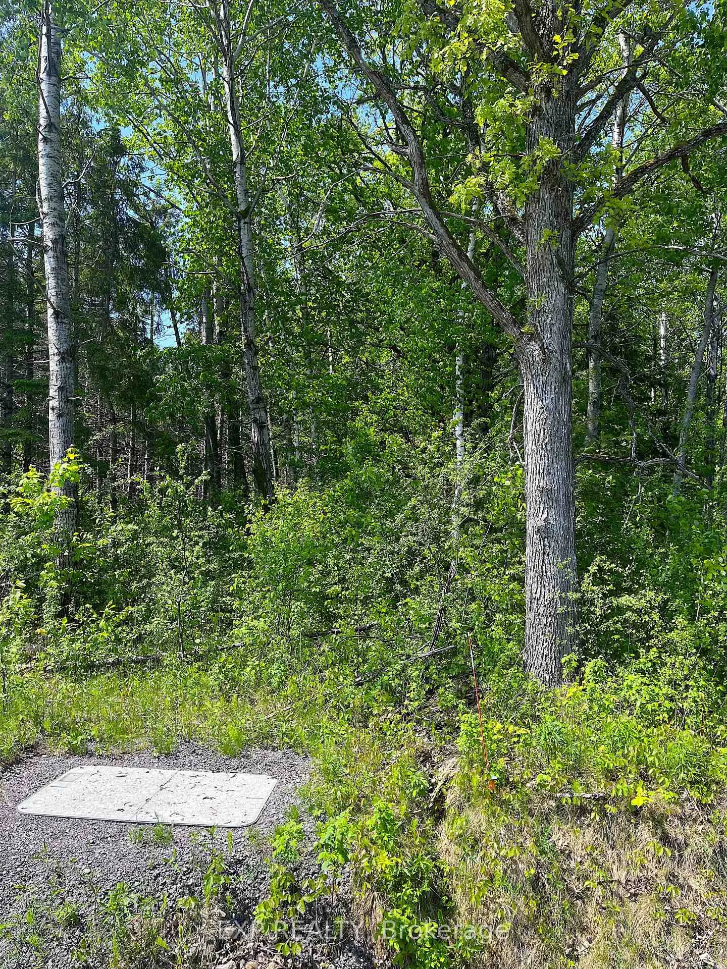 Photo 4 of 00 Johnston Road, Horton, Horton Twp — HOMEH