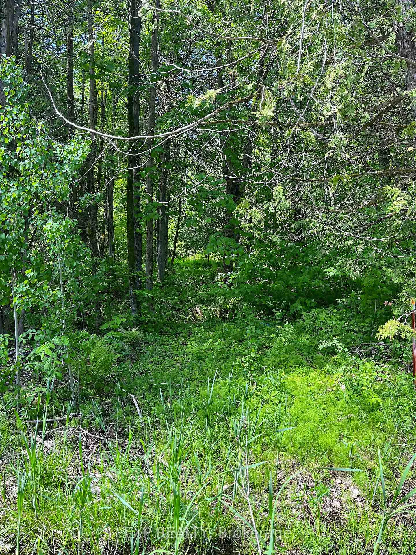 Photo 6 of 00 Johnston Road, Horton, Horton Twp — HOMEH