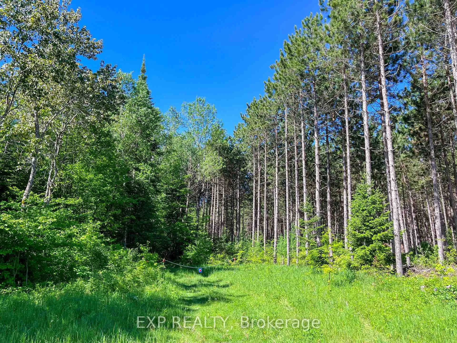 Photo 7 of 00 Johnston Road, Horton, Horton Twp — HOMEH