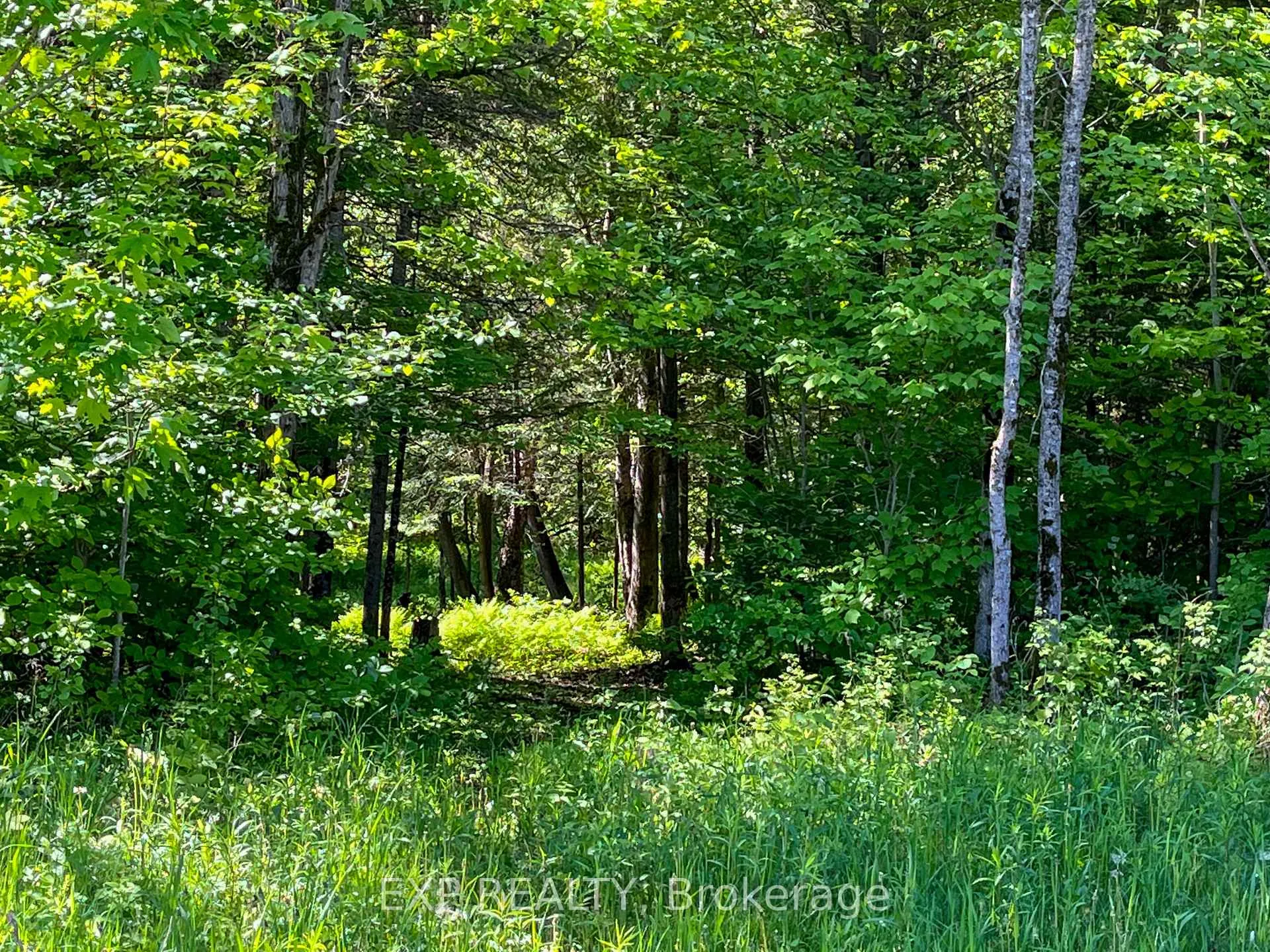 Photo 8 of 00 Johnston Road, Horton, Horton Twp — HOMEH