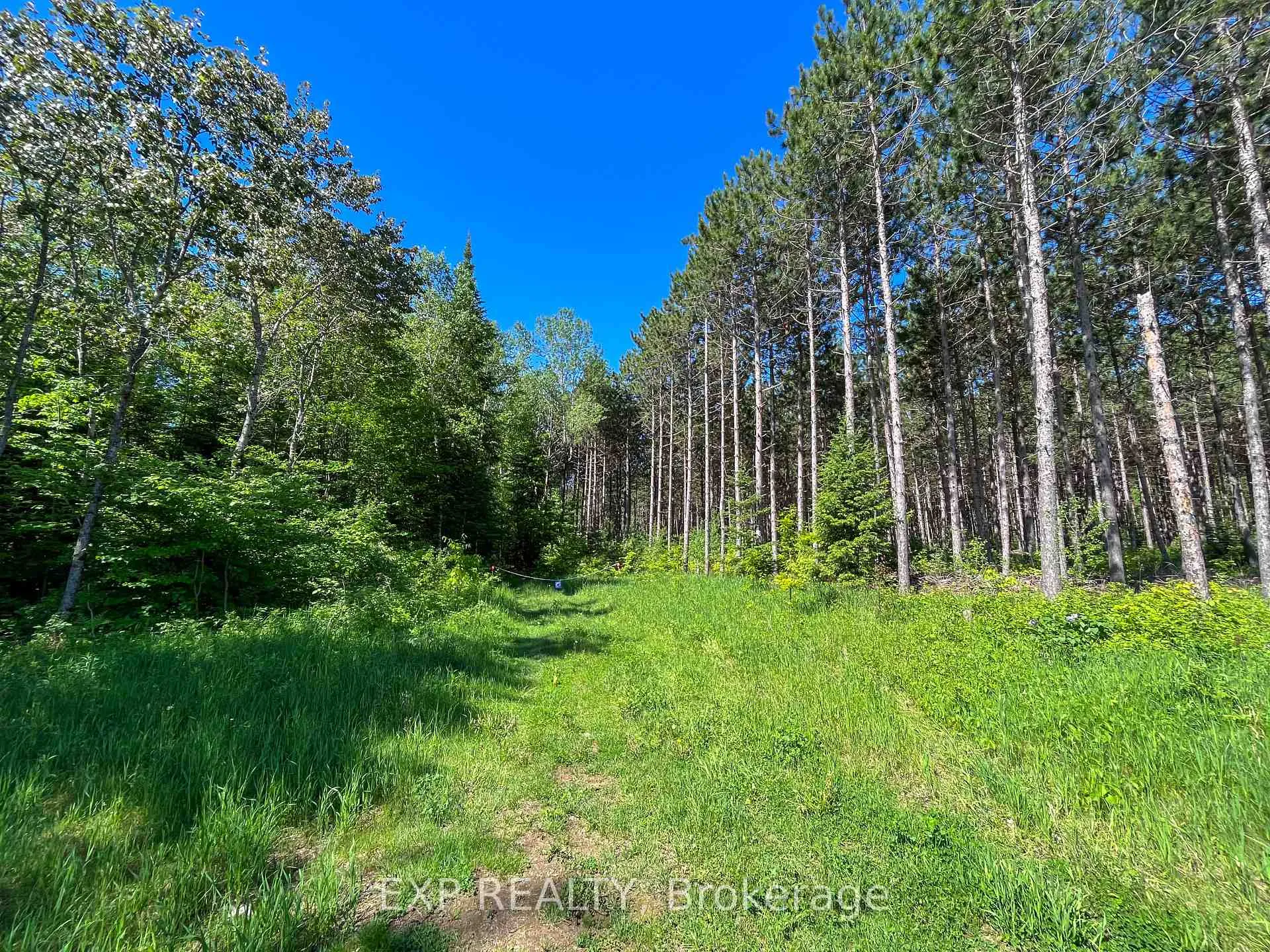 Photo 9 of 00 Johnston Road, Horton, Horton Twp — HOMEH