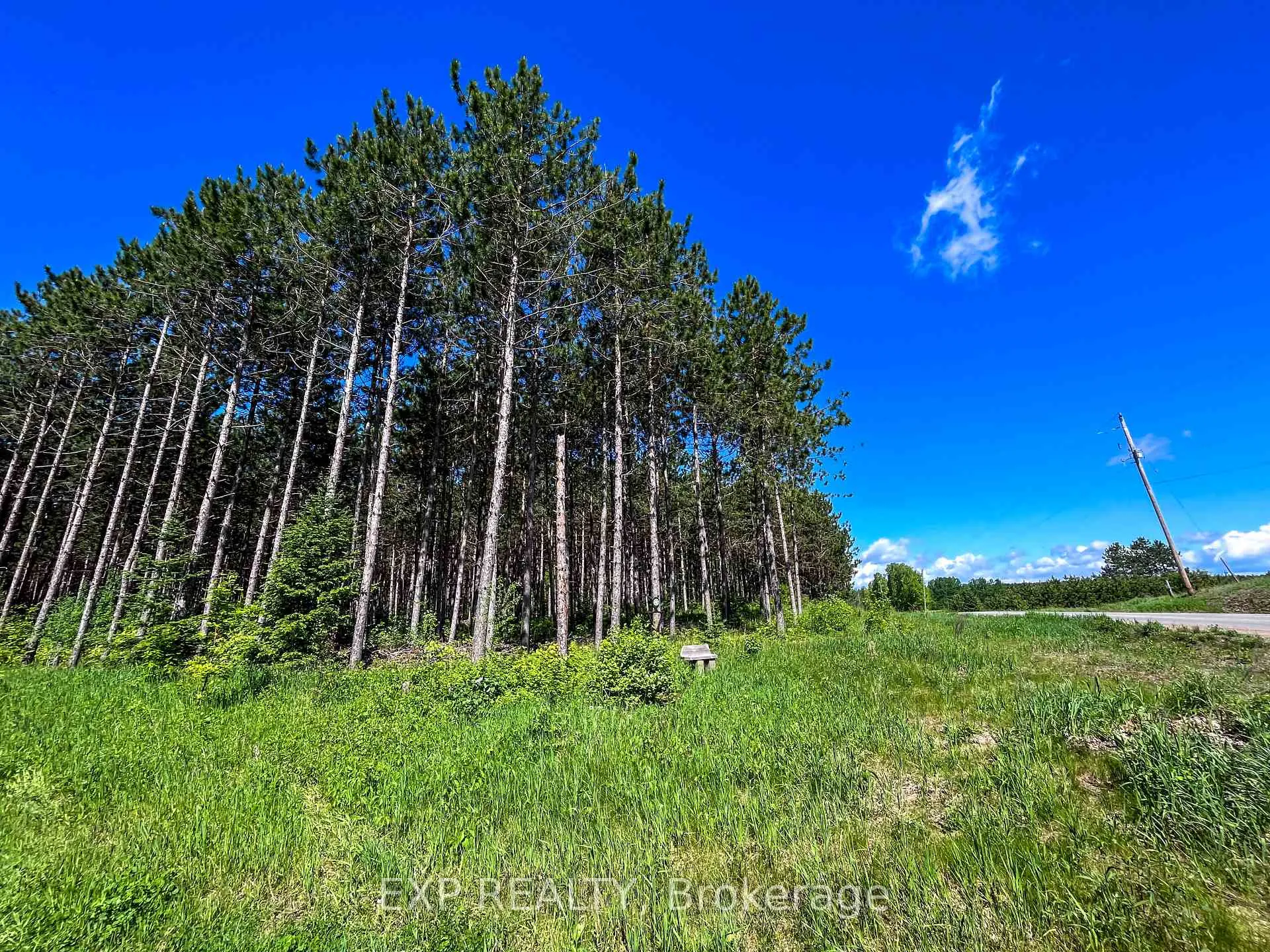 Photo 10 of 00 Johnston Road, Horton, Horton Twp — HOMEH