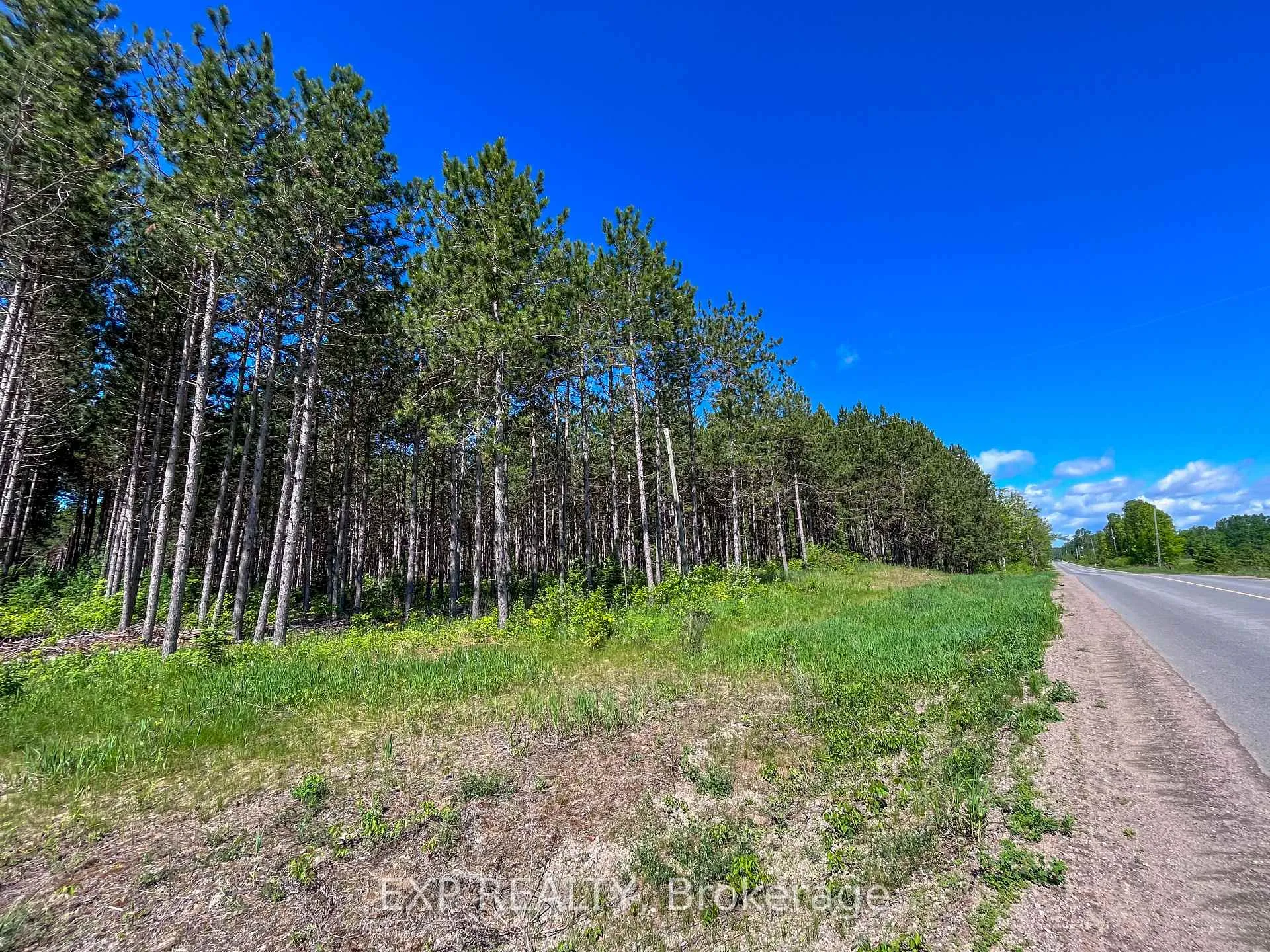 Photo 11 of 00 Johnston Road, Horton, Horton Twp — HOMEH