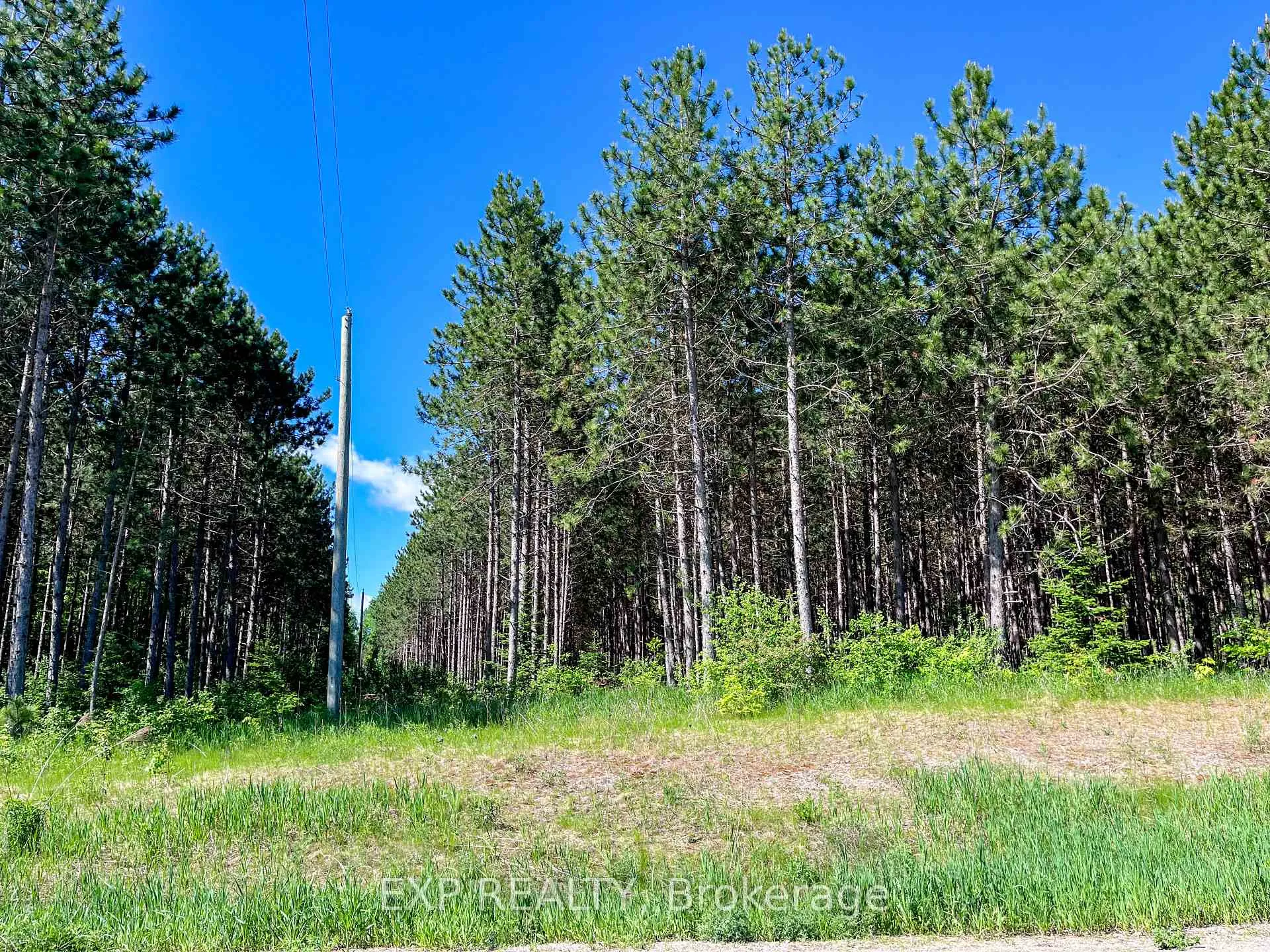 Photo 12 of 00 Johnston Road, Horton, Horton Twp — HOMEH