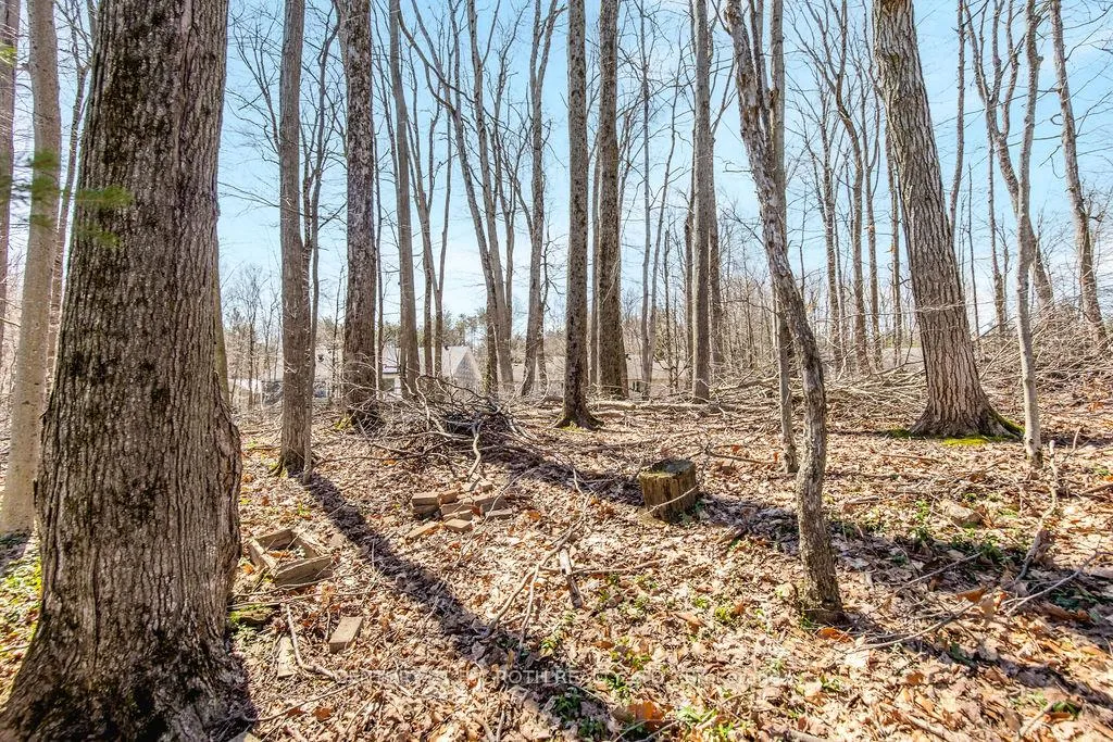Photo 39 of 15 Sugarbush Road, Oro-Medonte, Sugarbush — HOMEH