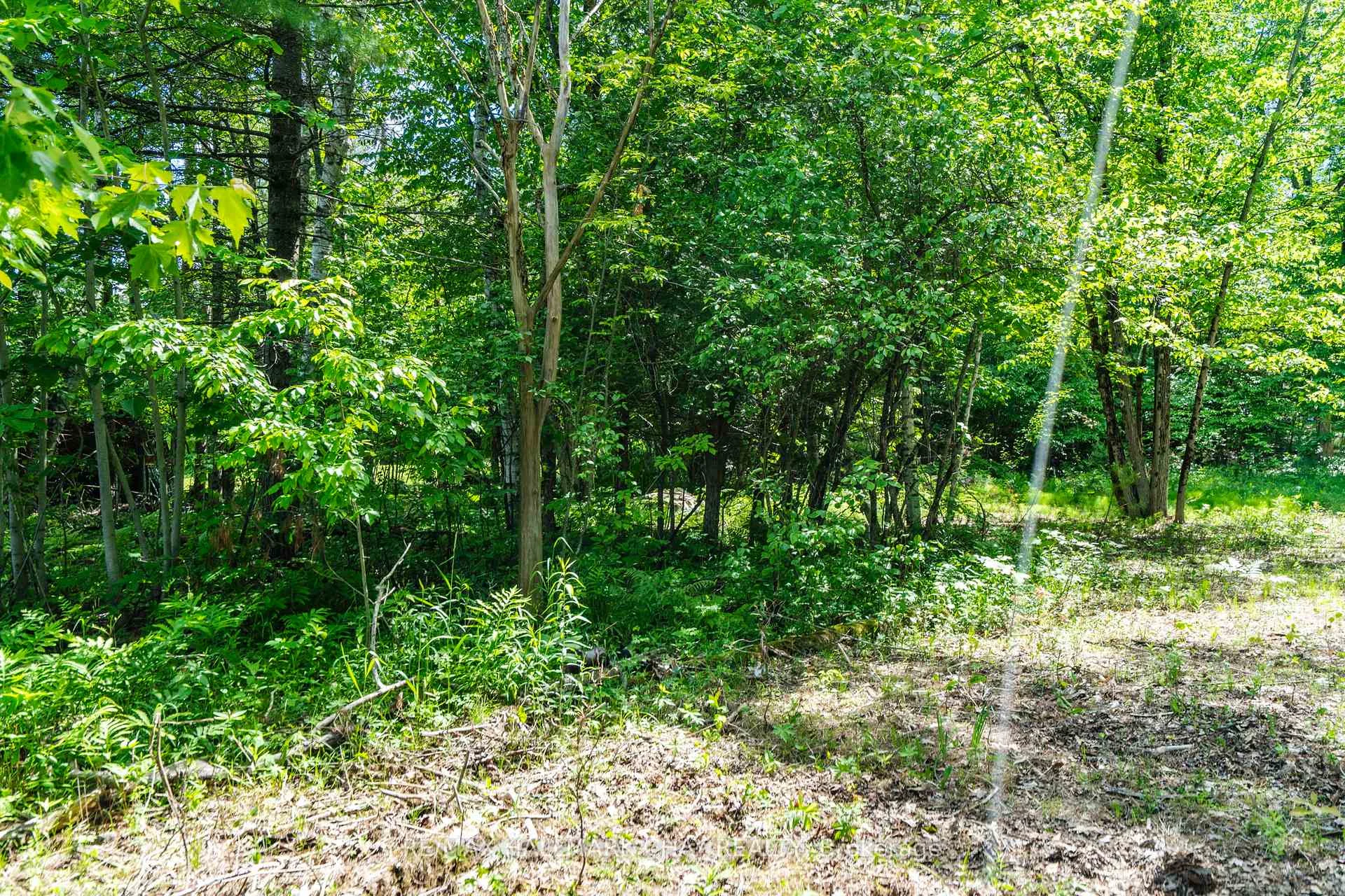 Photo 12 of Lot 1 Torpitt Road, Severn, Washago — HOMEH
