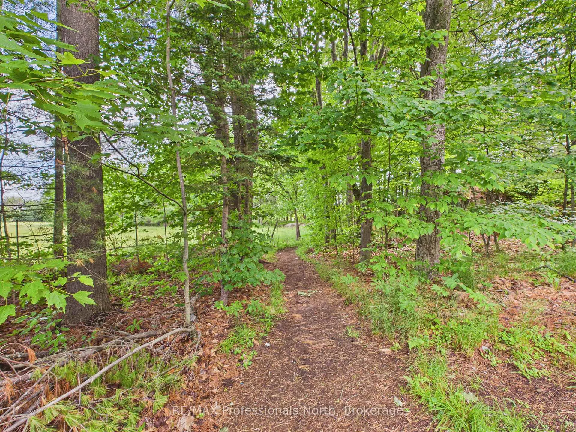 Photo 32 of Unit 201, 391C Manitoba Street, Bracebridge, Macaulay — HOMEH