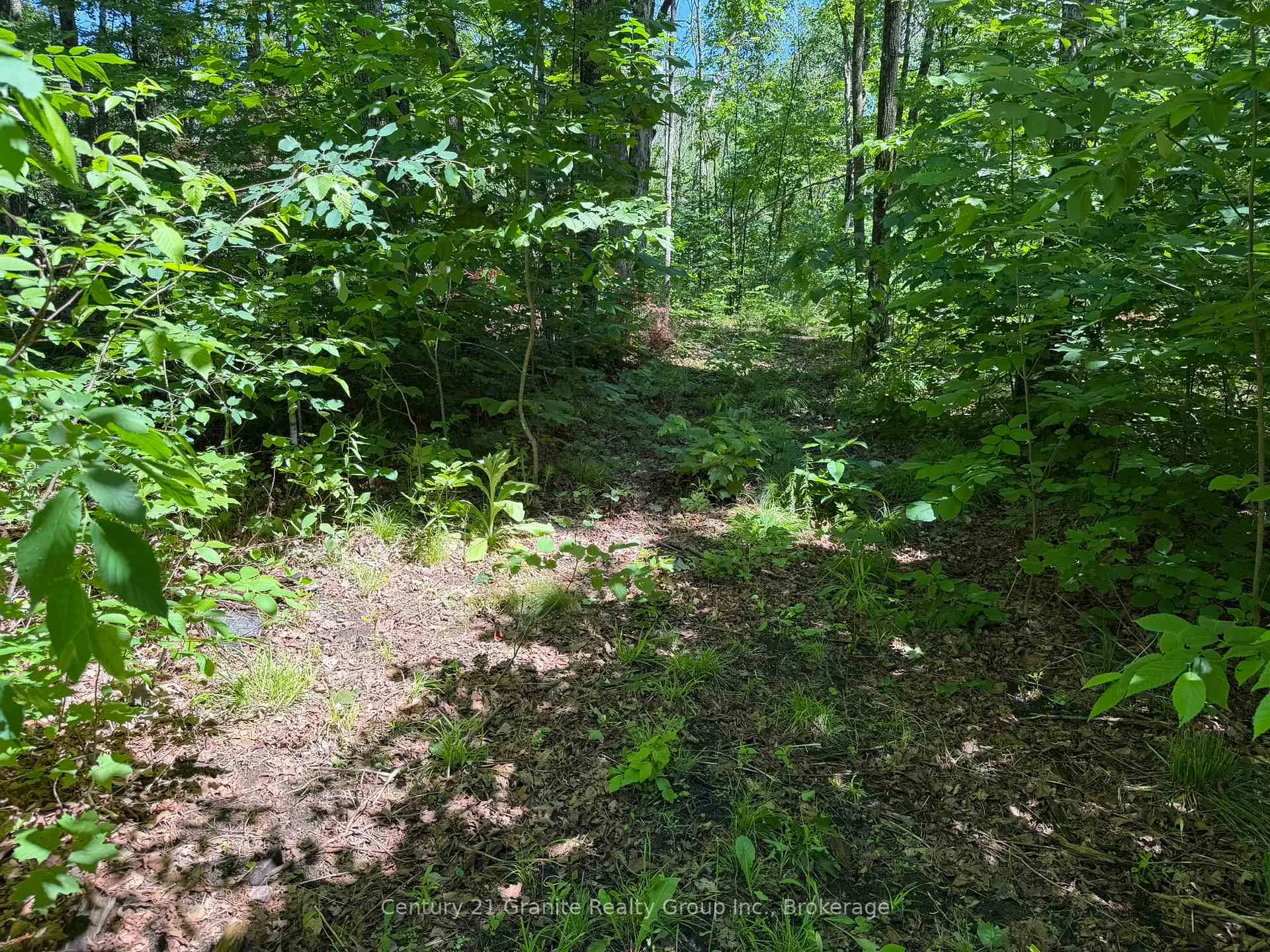 Photo 37 of 1048 Bacon Road, Minden Hills, Snowdon — HOMEH