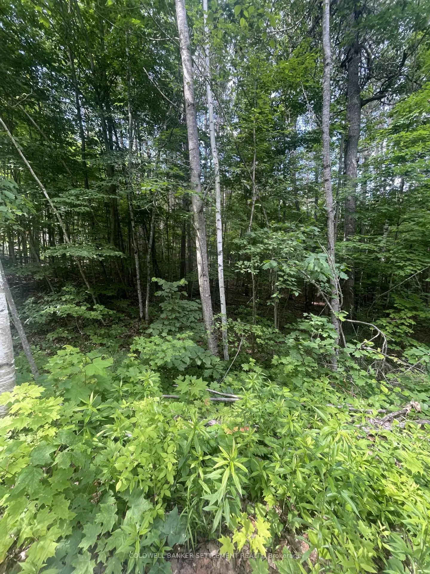 Photo of 0 Pond Road