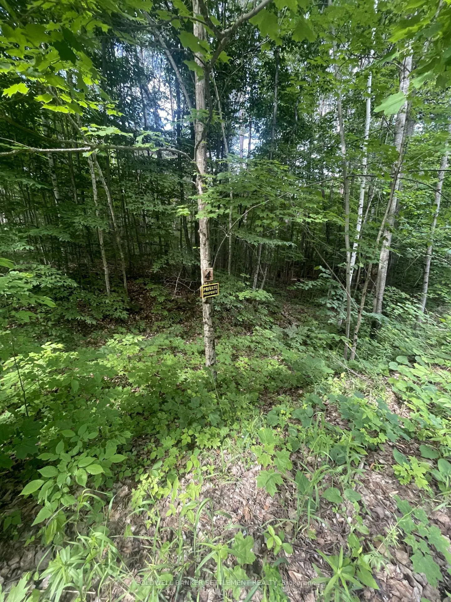 Photo 2 of Pond Road, Tay Valley, Bathurst/Burgess & Sherbrooke (South Sherbrooke) Twp — HOMEH