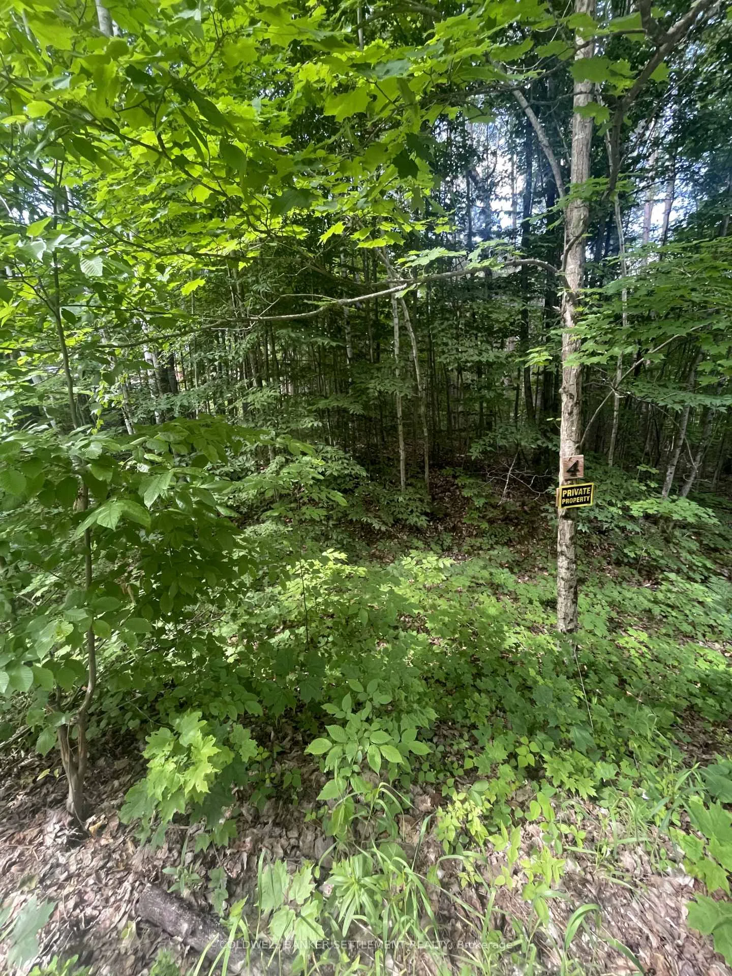 Photo 3 of Pond Road, Tay Valley, Bathurst/Burgess & Sherbrooke (South Sherbrooke) Twp — HOMEH