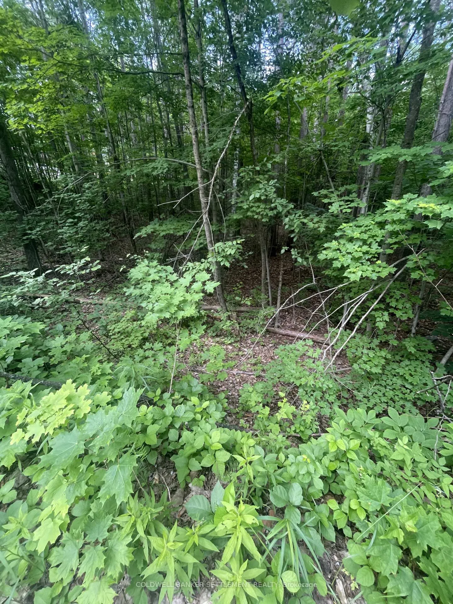 Photo 4 of Pond Road, Tay Valley, Bathurst/Burgess & Sherbrooke (South Sherbrooke) Twp — HOMEH