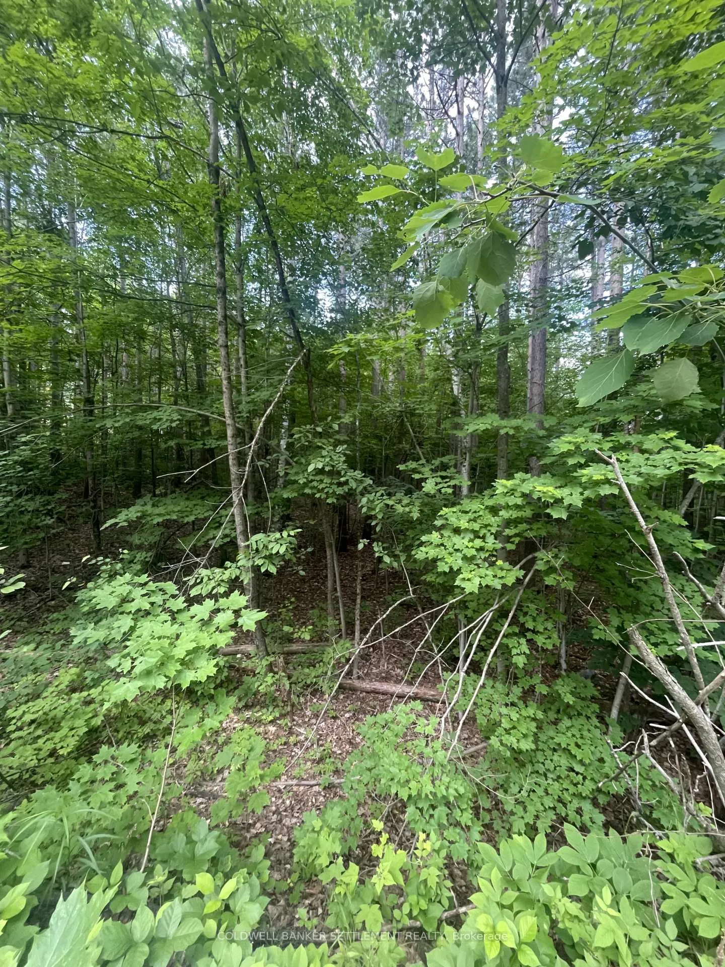 Photo 5 of Pond Road, Tay Valley, Bathurst/Burgess & Sherbrooke (South Sherbrooke) Twp — HOMEH