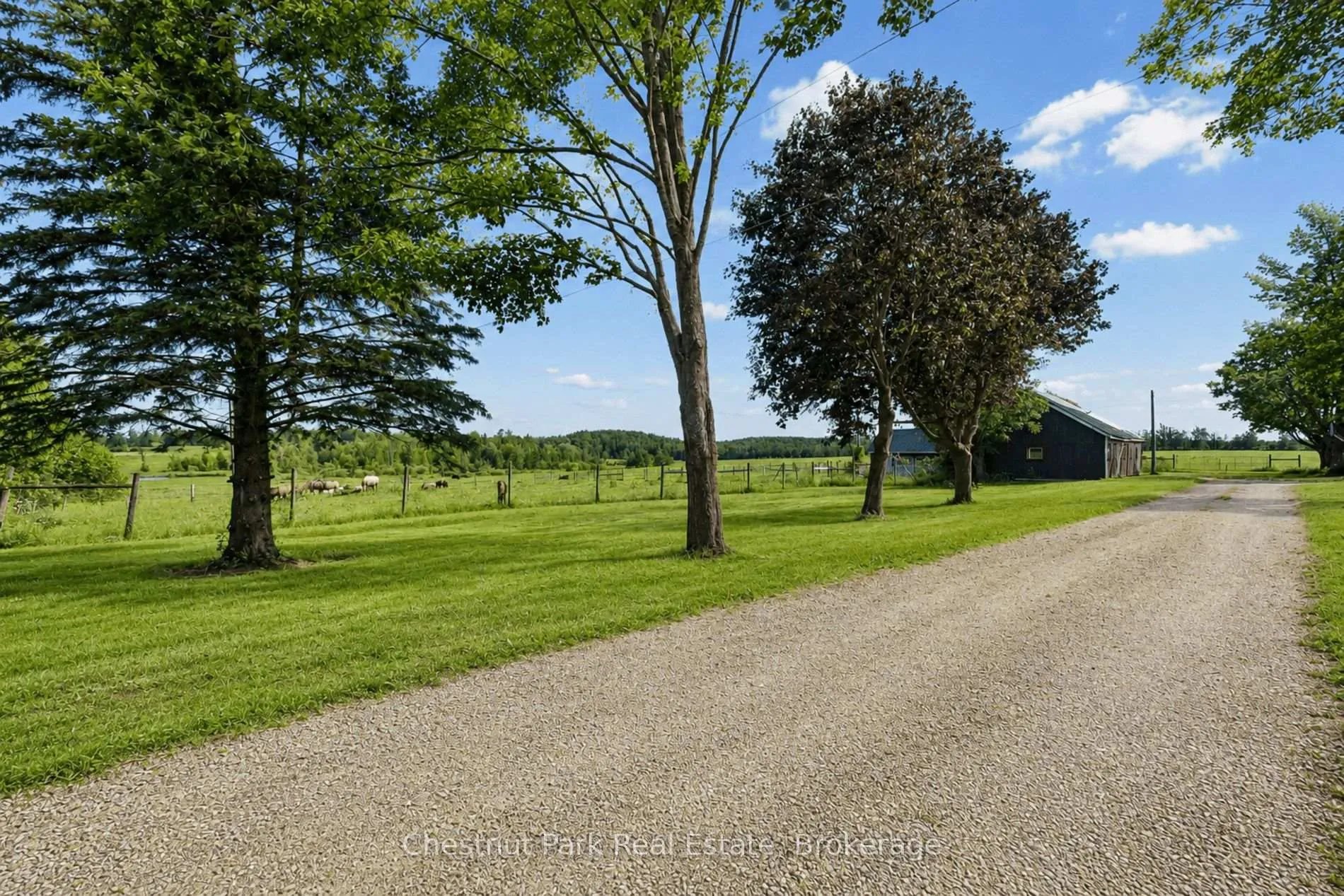 Photo 4 of 3734 Line 12 N, Oro-Medonte, Rural Oro-Medonte — HOMEH
