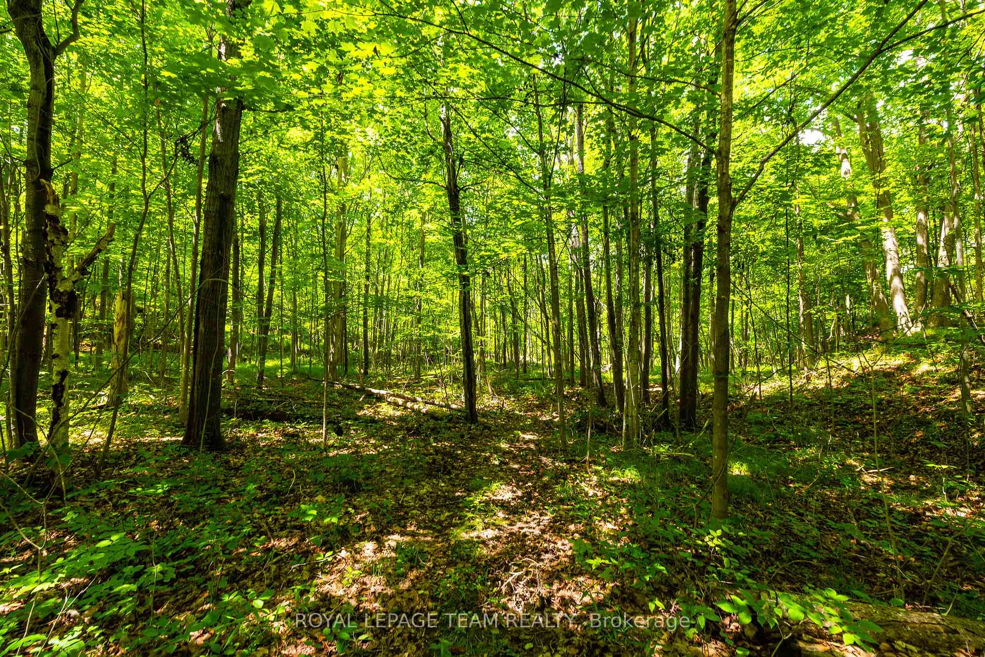 Photo 14 of Scott Lane, Rideau Lakes, Rideau Lakes (North Crosby) Twp — HOMEH