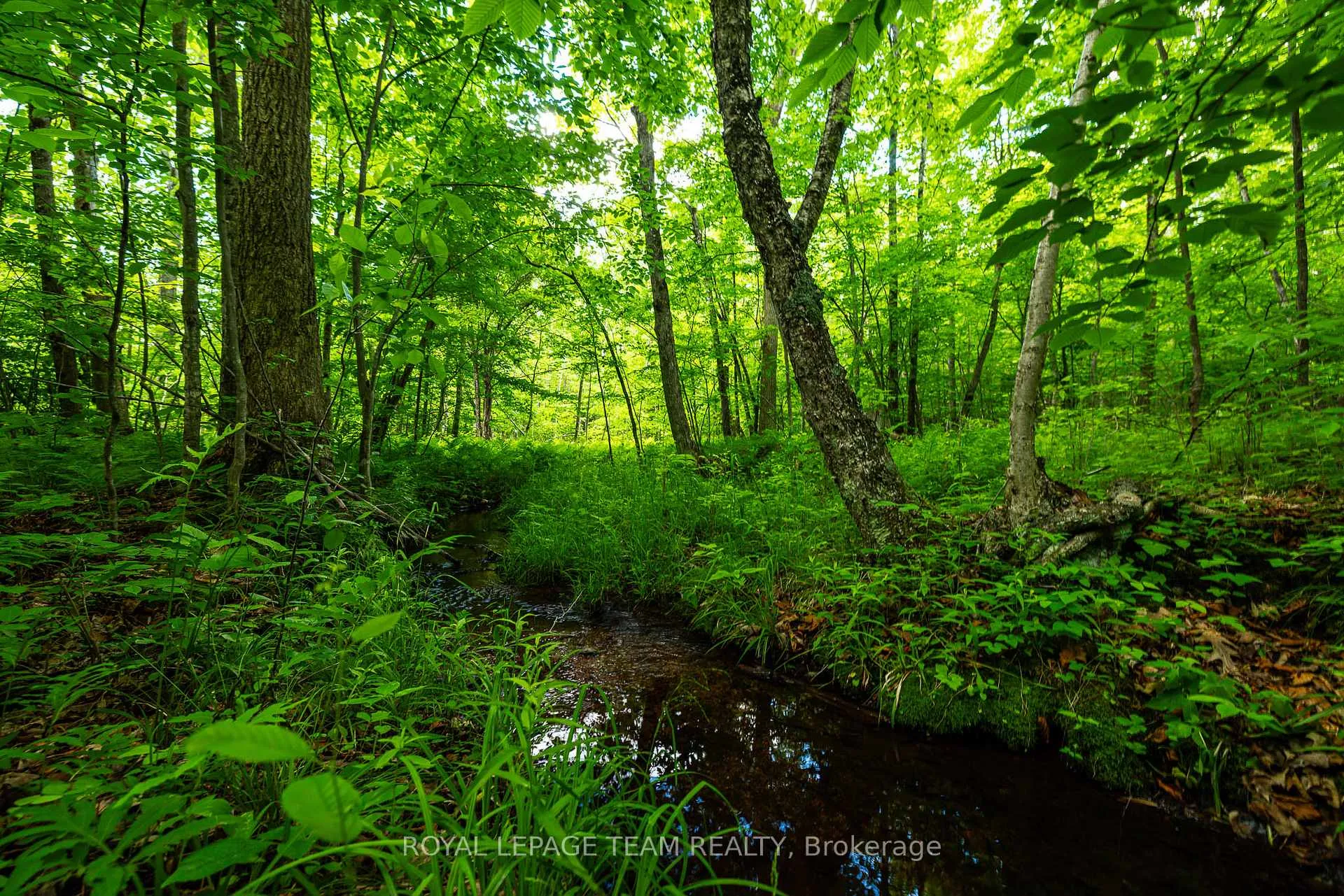 Photo 17 of Scott Lane, Rideau Lakes, Rideau Lakes (North Crosby) Twp — HOMEH
