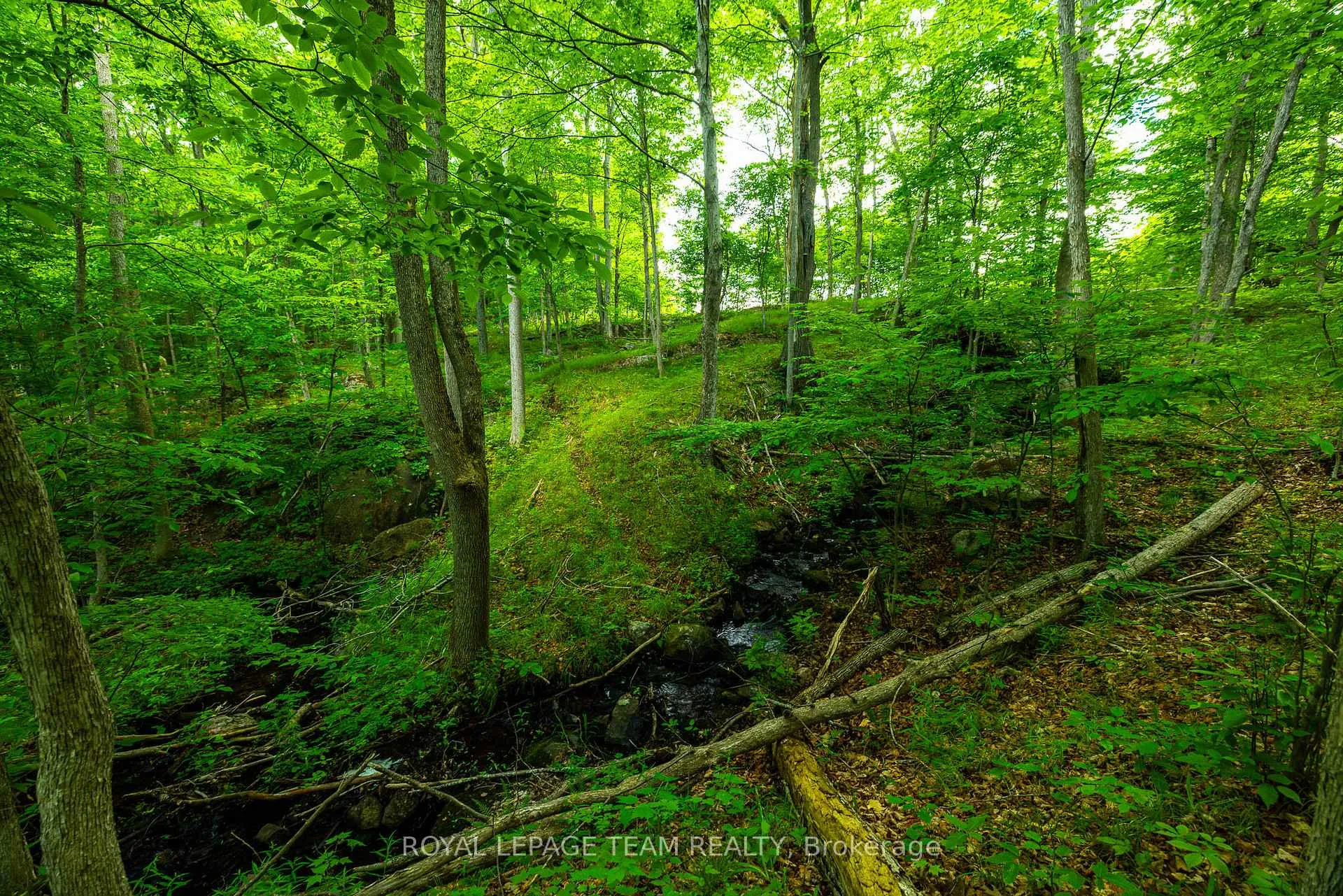 Photo 18 of Scott Lane, Rideau Lakes, Rideau Lakes (North Crosby) Twp — HOMEH
