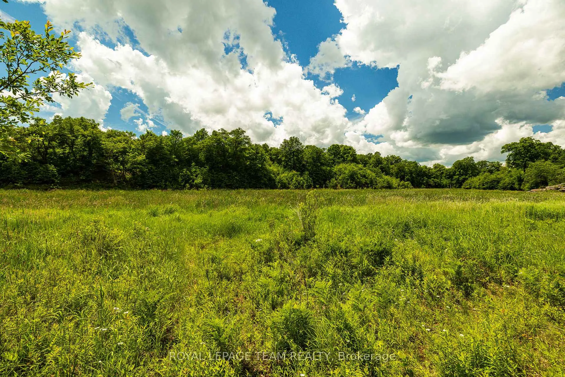 Photo 19 of Scott Lane, Rideau Lakes, Rideau Lakes (North Crosby) Twp — HOMEH