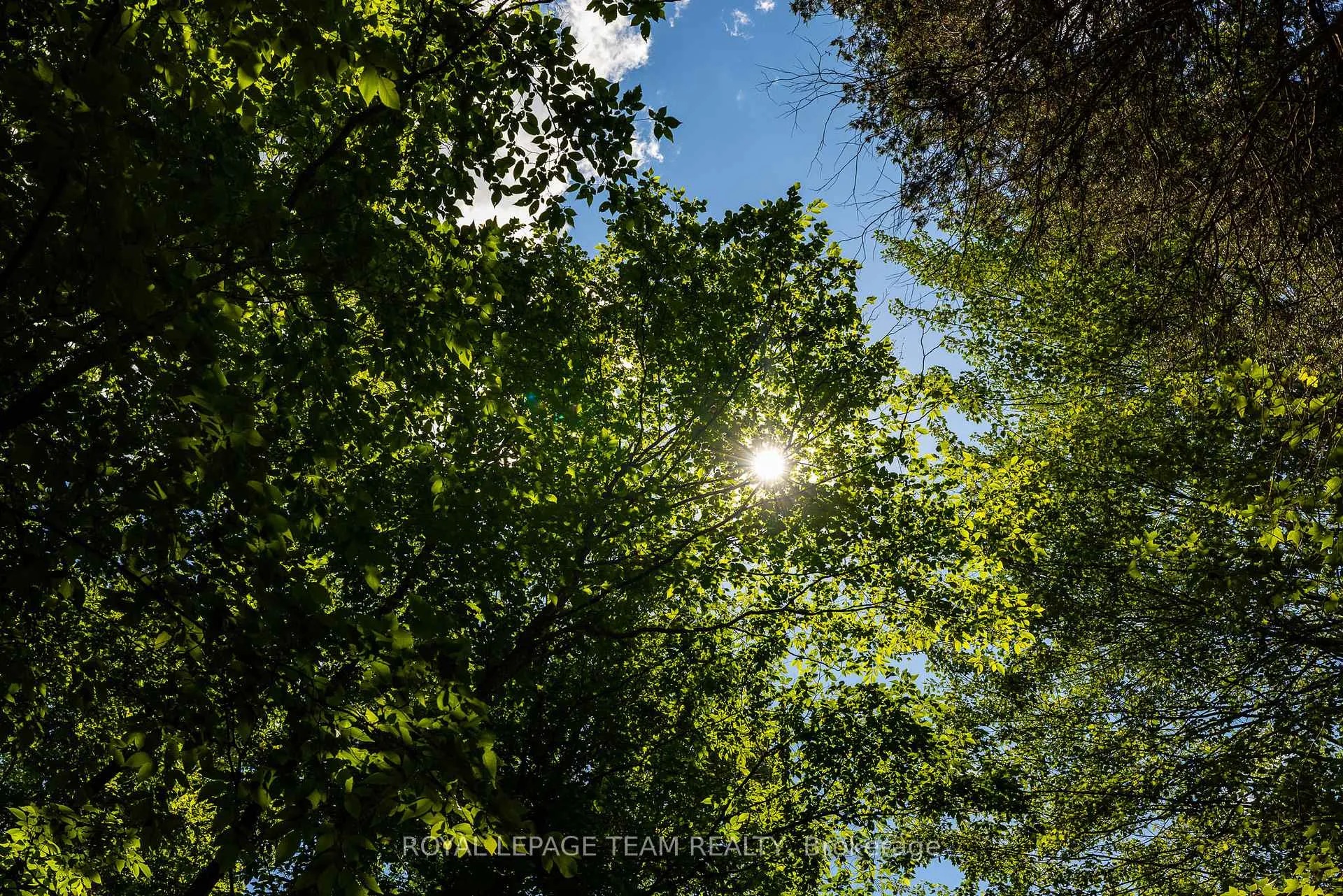 Photo 20 of Scott Lane, Rideau Lakes, Rideau Lakes (North Crosby) Twp — HOMEH