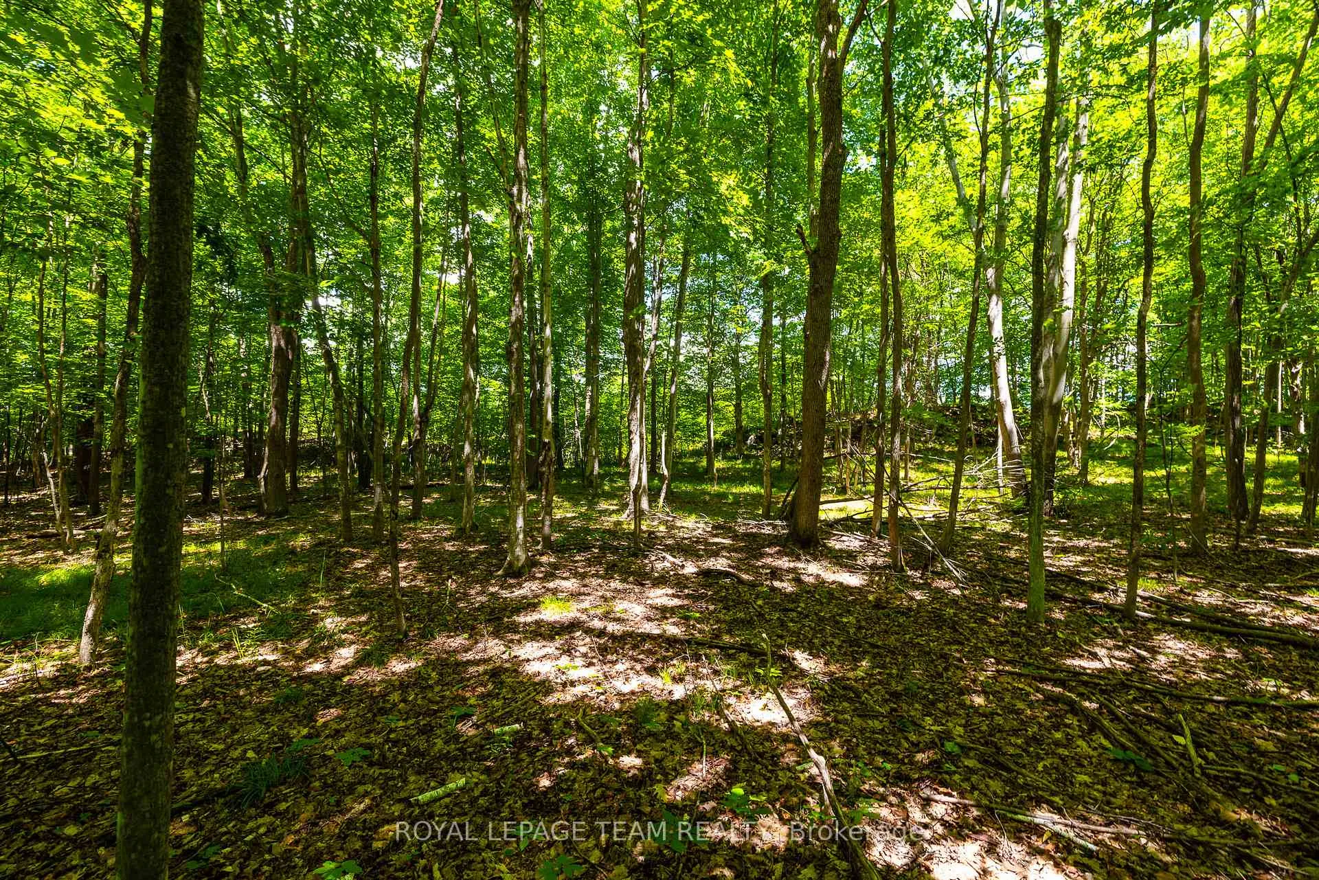 Photo 21 of Scott Lane, Rideau Lakes, Rideau Lakes (North Crosby) Twp — HOMEH