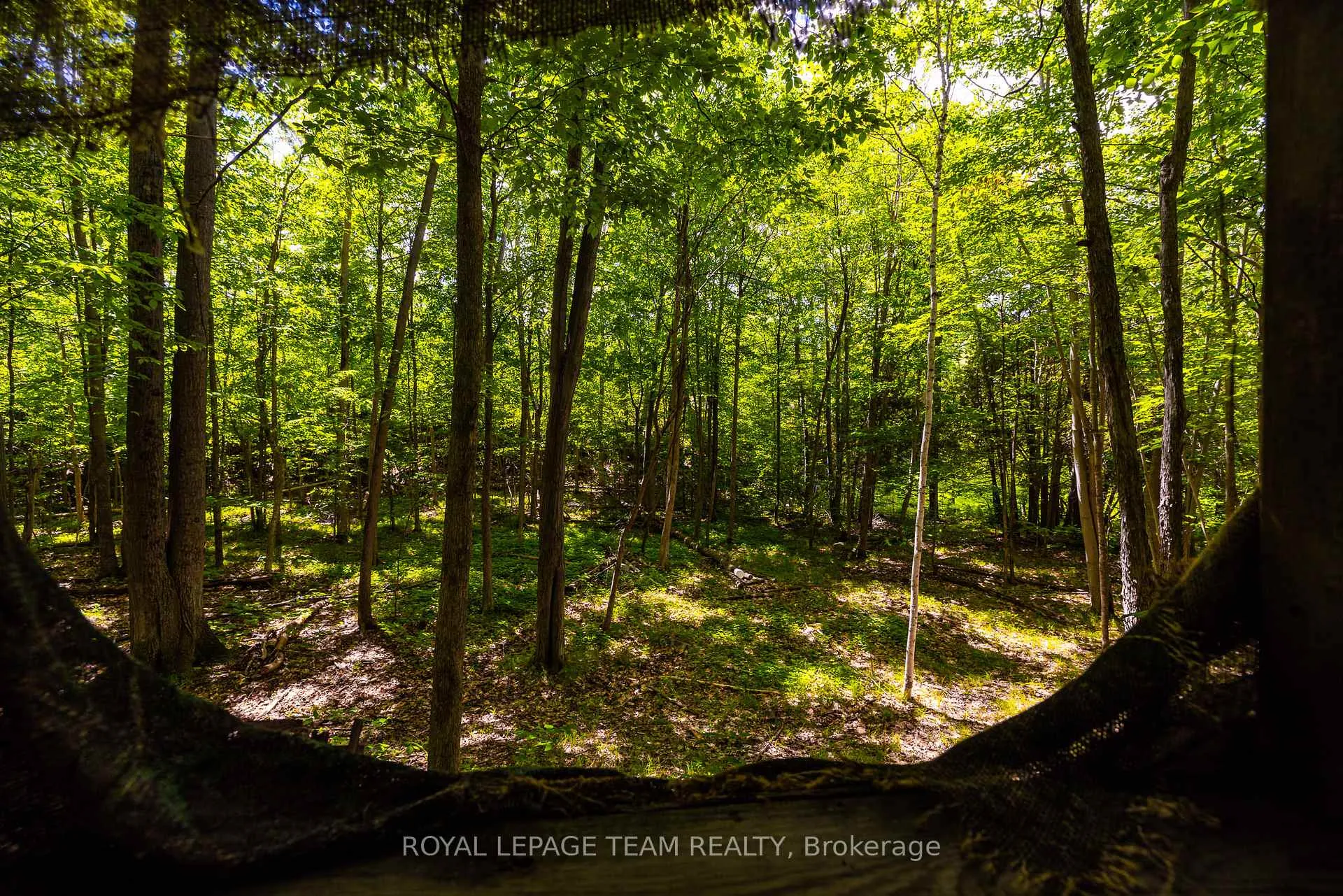 Photo 23 of Scott Lane, Rideau Lakes, Rideau Lakes (North Crosby) Twp — HOMEH