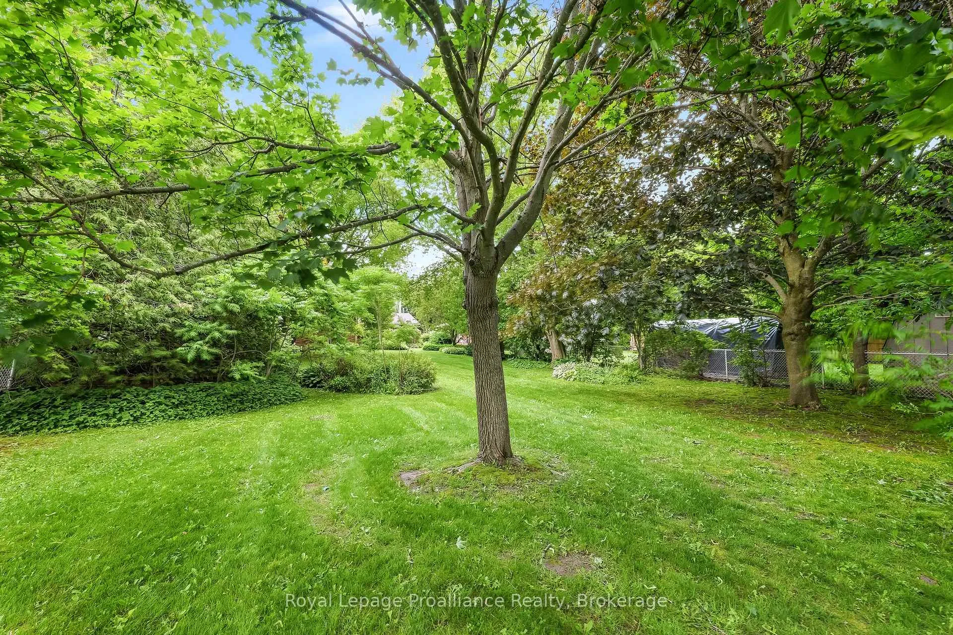 Photo 42 of 4 Morrow Avenue, Brighton — HOMEH