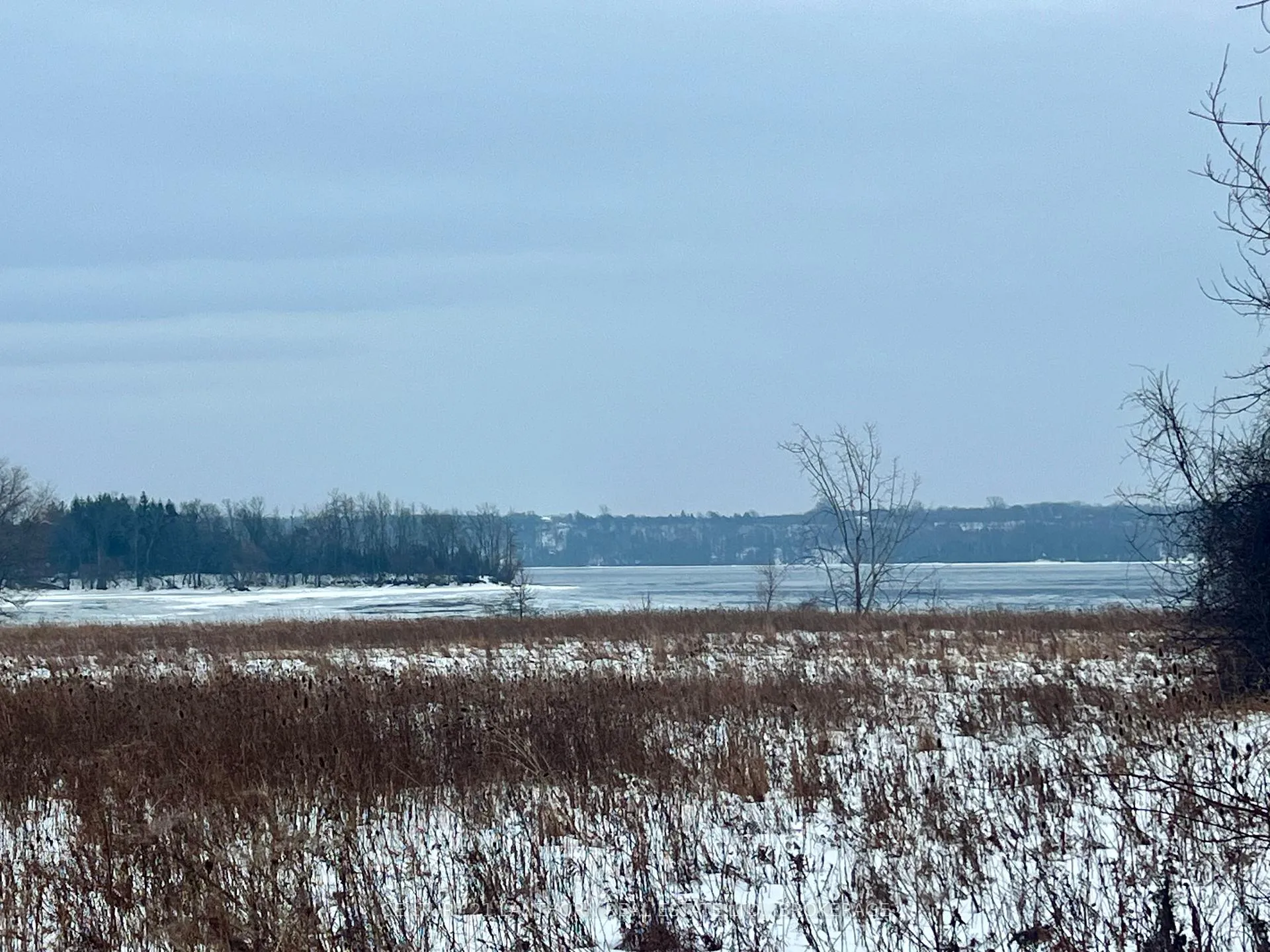 Front of Lot 28 Loyalist Parkway