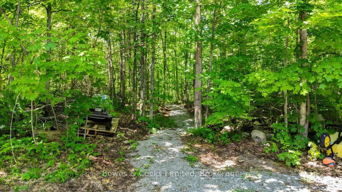 Photo 41 of 10 Birch Terrace, Peterborough, South — HOMEH