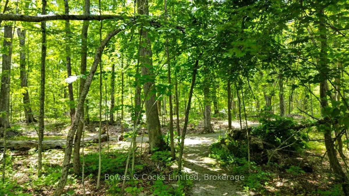 Photo 46 of 10 Birch Terrace, Peterborough, South — HOMEH