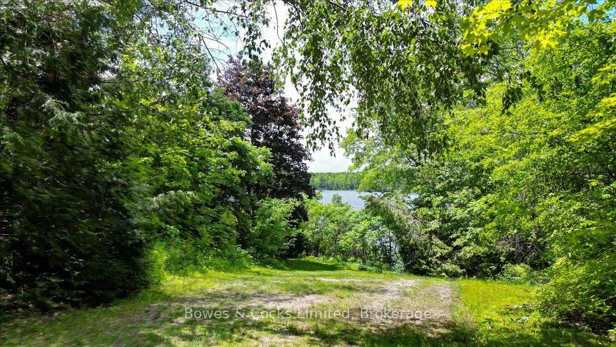 Photo 47 of 10 Birch Terrace, Peterborough, South — HOMEH