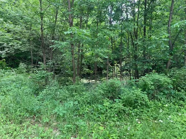Photo 10 of 306 Hanna Road, Tay Valley, Bathurst/Burgess & Sherbrooke (South Sherbrooke) Twp — HOMEH
