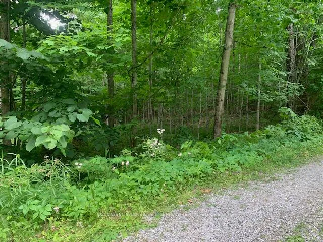 Photo 11 of 306 Hanna Road, Tay Valley, Bathurst/Burgess & Sherbrooke (South Sherbrooke) Twp — HOMEH