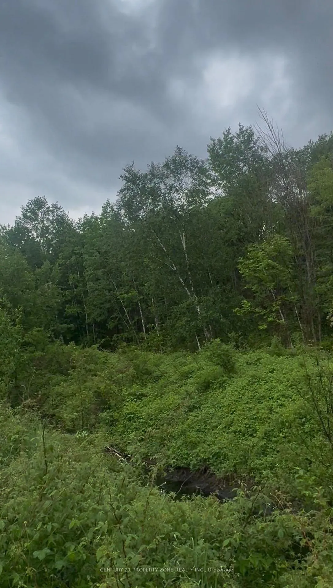Photo 5 of 1965 Henderson Road, Frontenac, Frontenac Centre — HOMEH