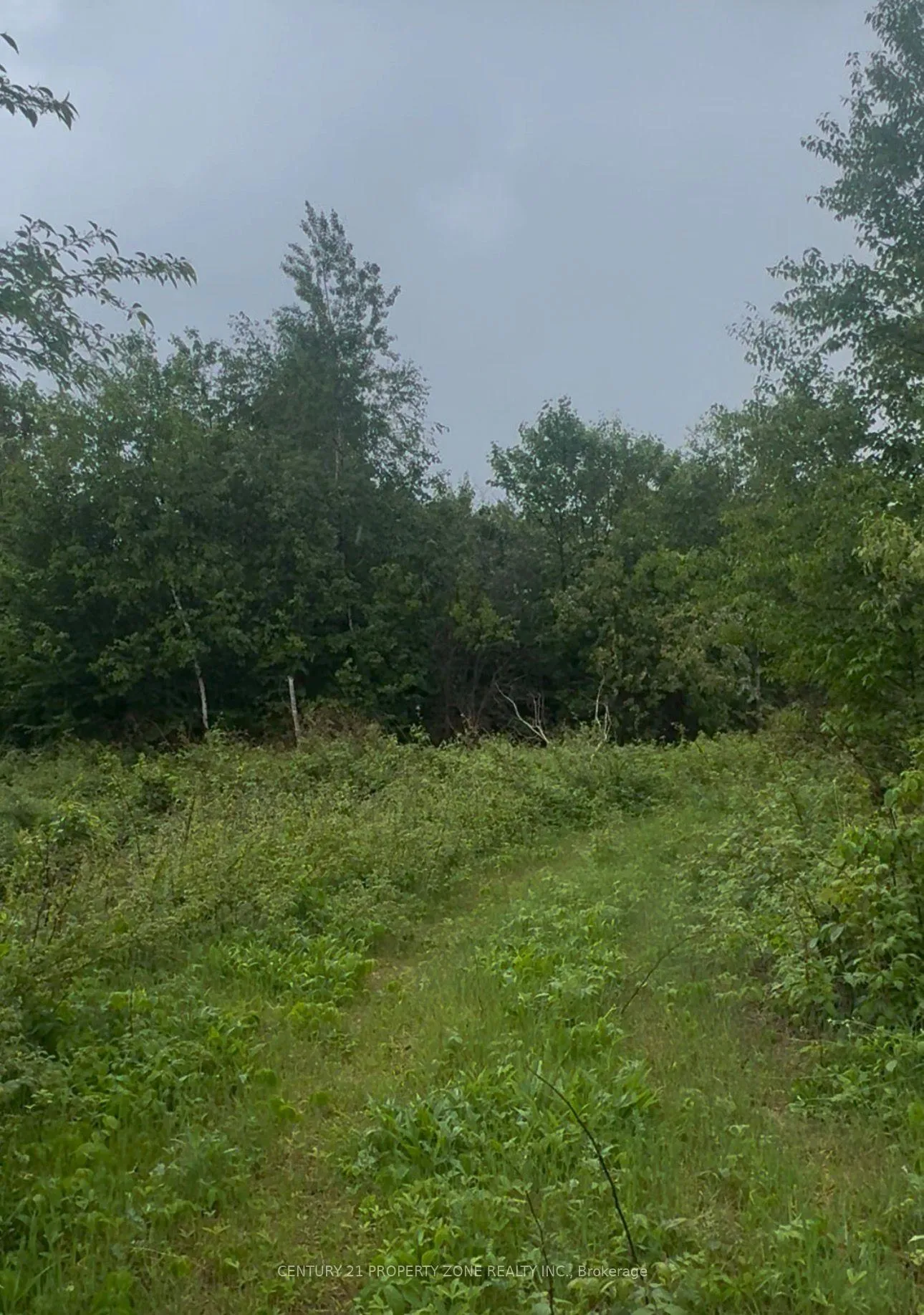 Photo 6 of 1965 Henderson Road, Frontenac, Frontenac Centre — HOMEH