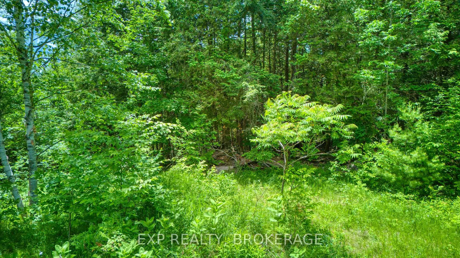 Photo 18 of 1142A Point Lane, Frontenac, Frontenac Centre — HOMEH