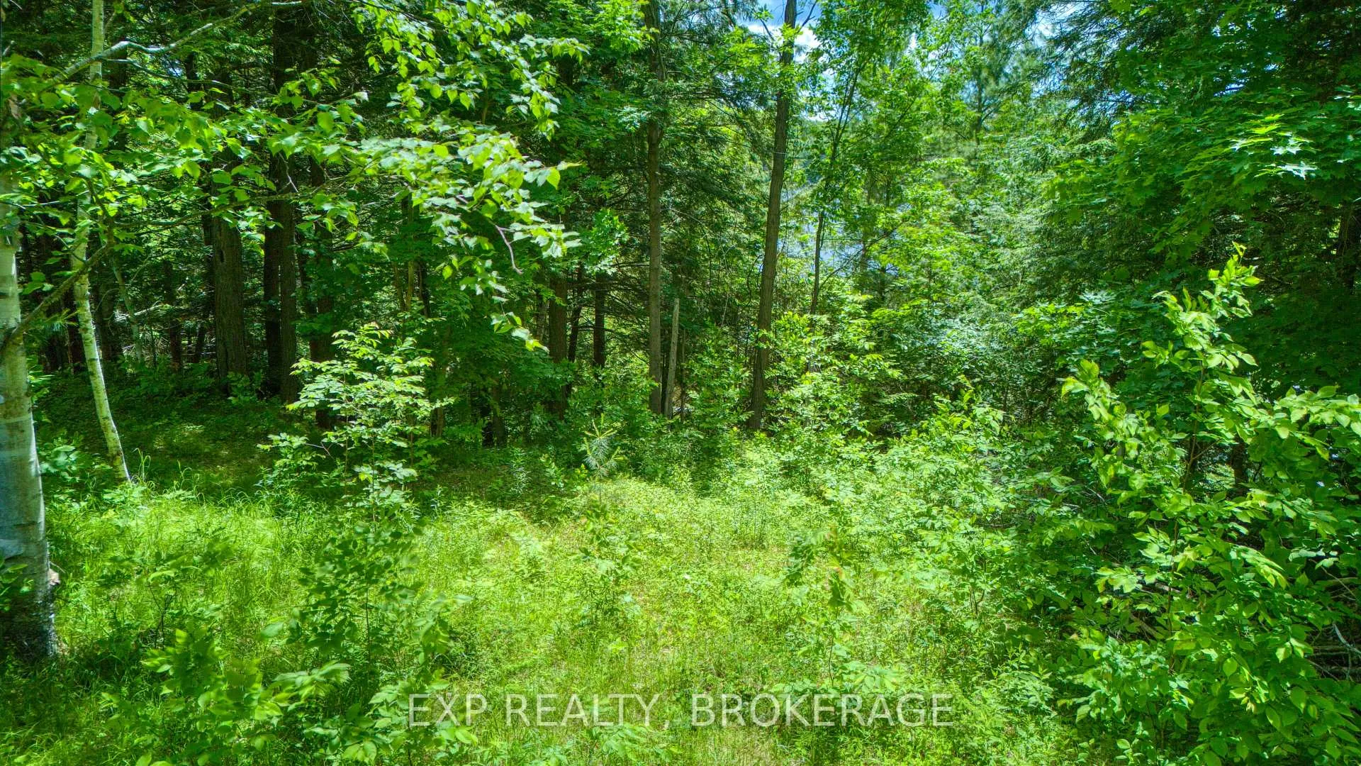 Photo 19 of 1142A Point Lane, Frontenac, Frontenac Centre — HOMEH