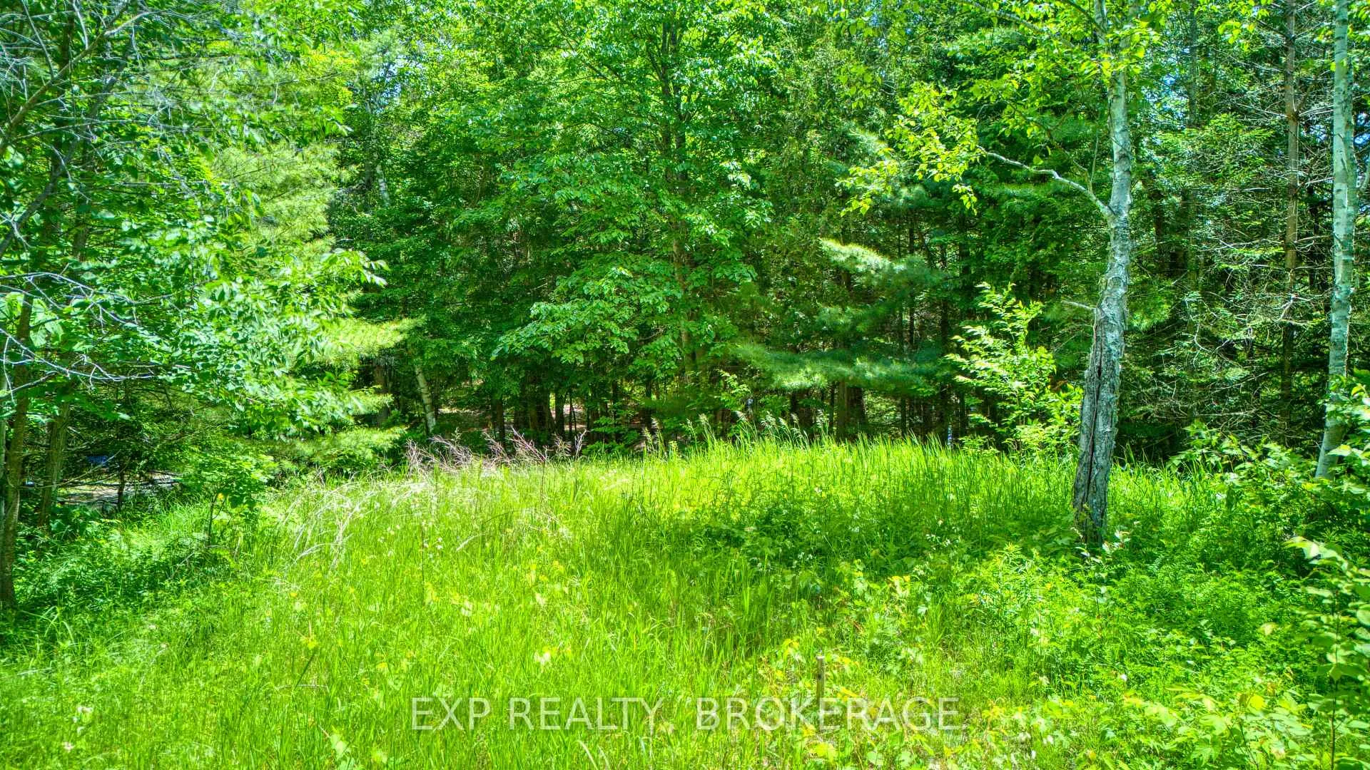 Photo 20 of 1142A Point Lane, Frontenac, Frontenac Centre — HOMEH