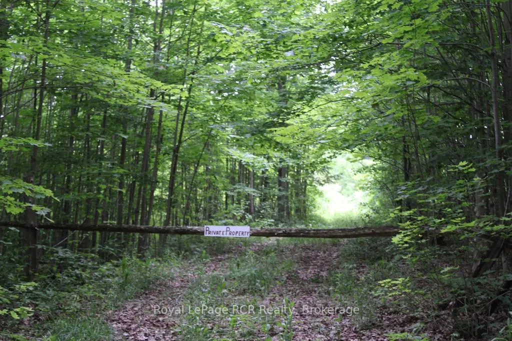Photo of PT LT 15 CON 13 Concession 14 Road