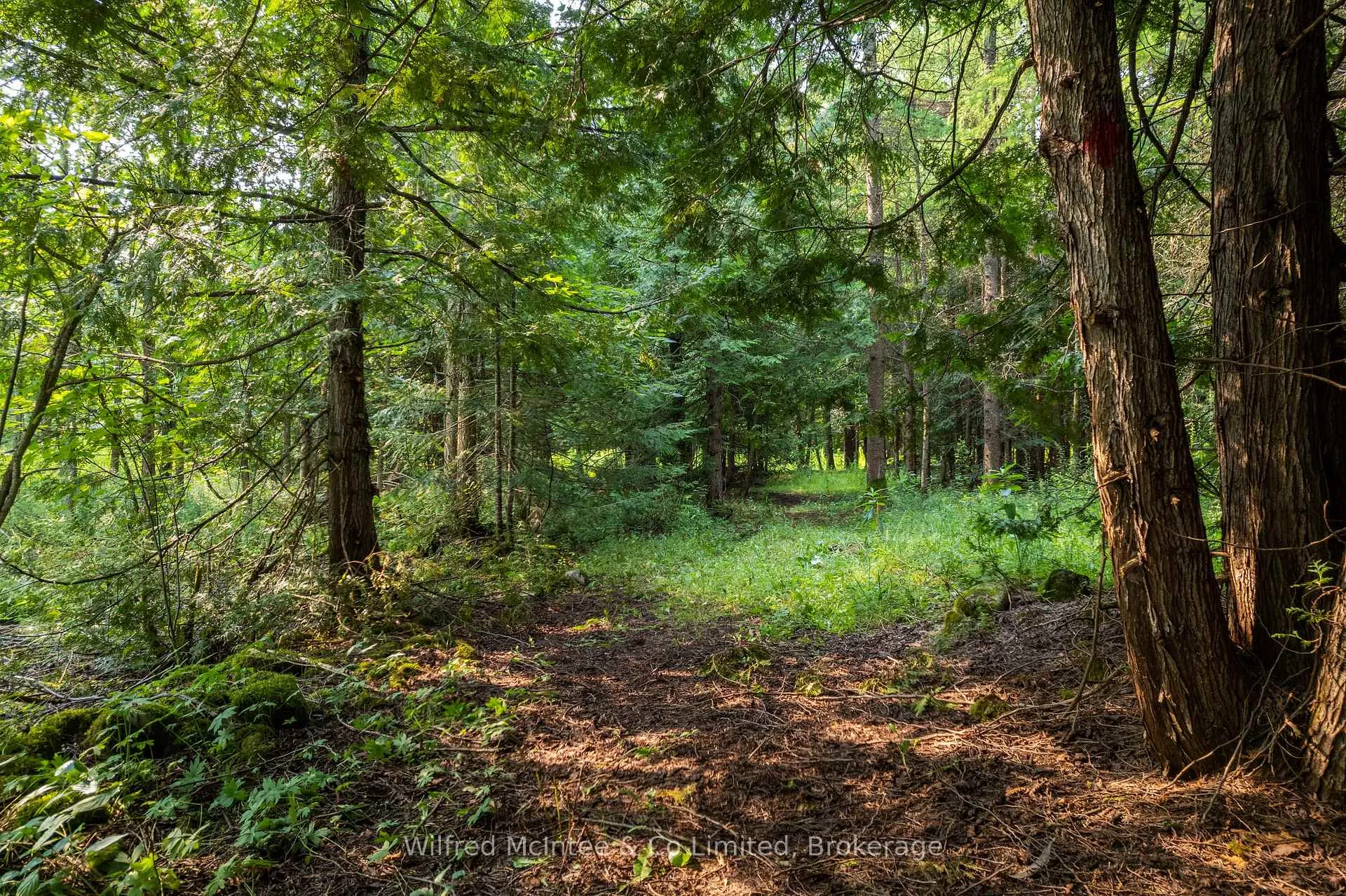 Photo 35 of 574461 Sideroad 40, West Grey — HOMEH