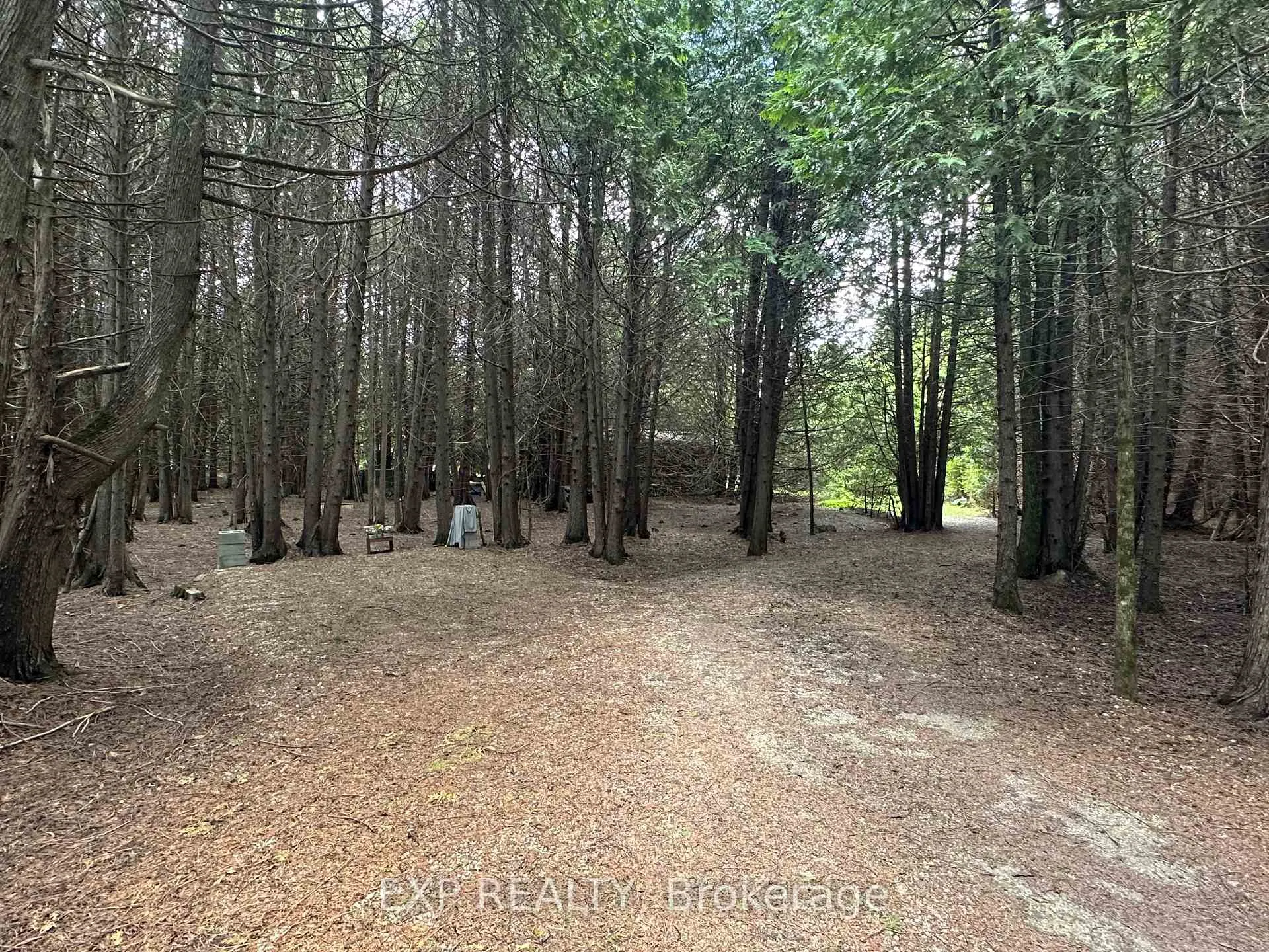 Photo 31 of 444425 Conc road 8 Concession, Grey Highlands — HOMEH